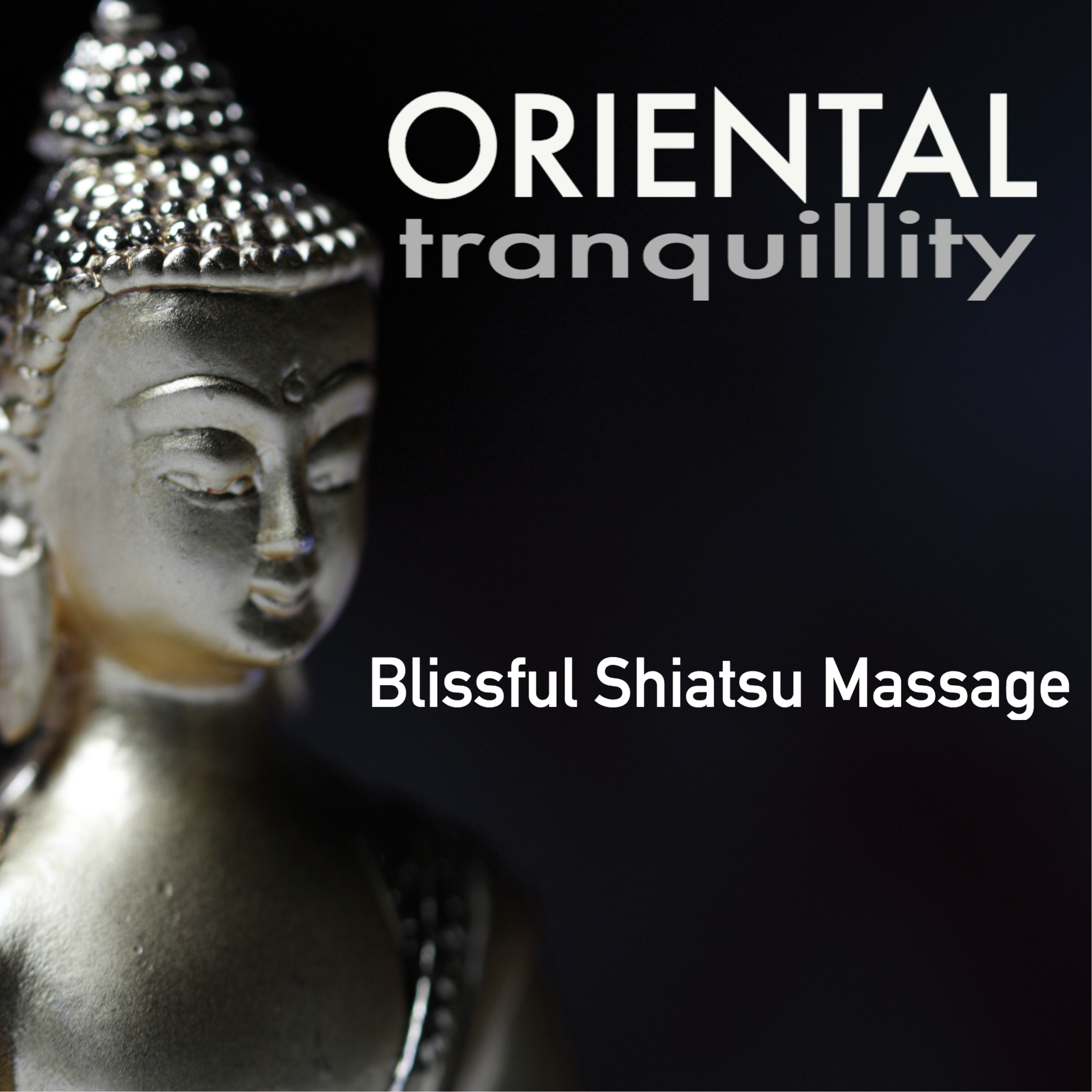 Oriental Tranquility - Blissful Shiatsu Massage, Revitalizing Spa Songs for Ayurveda