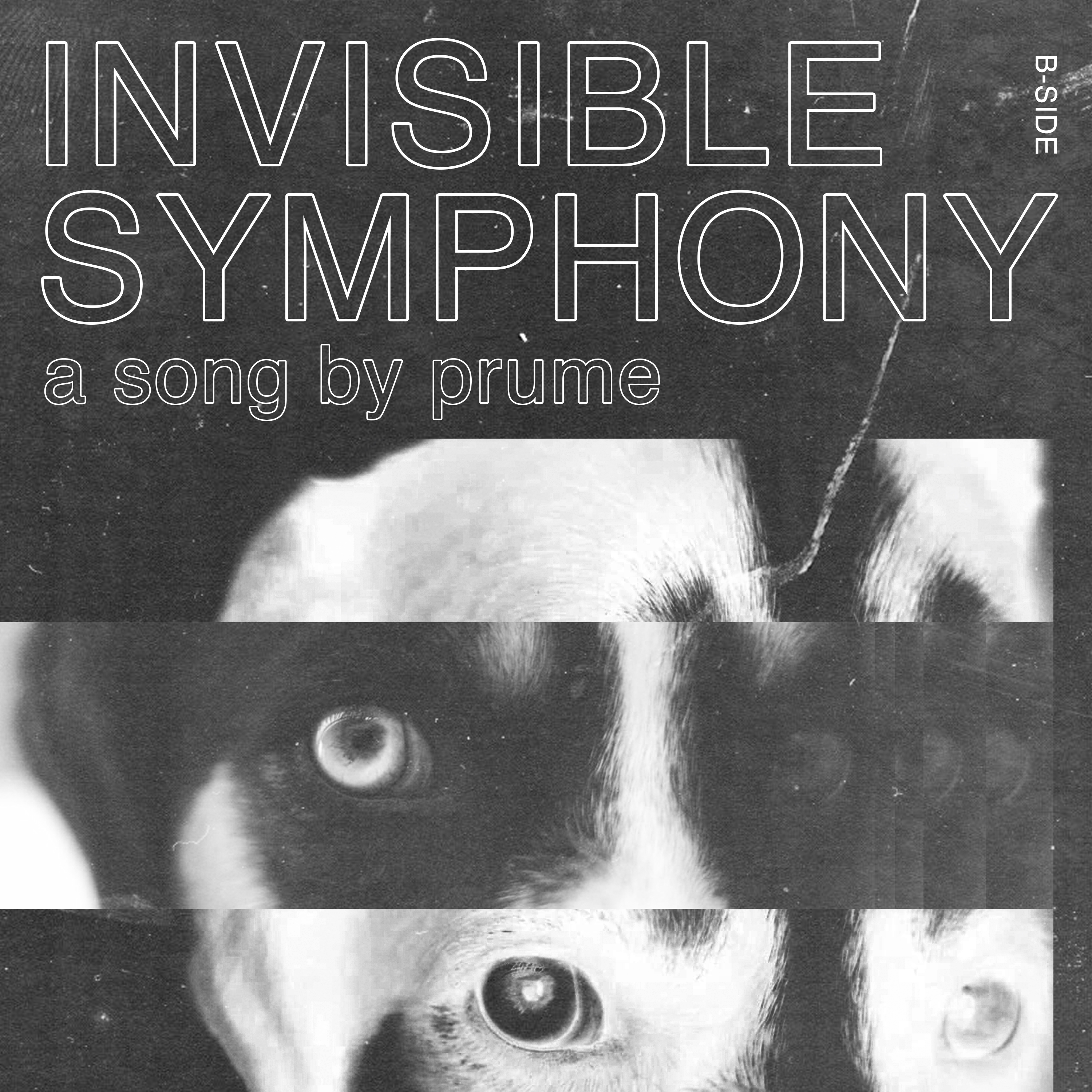 Invisible Symphony