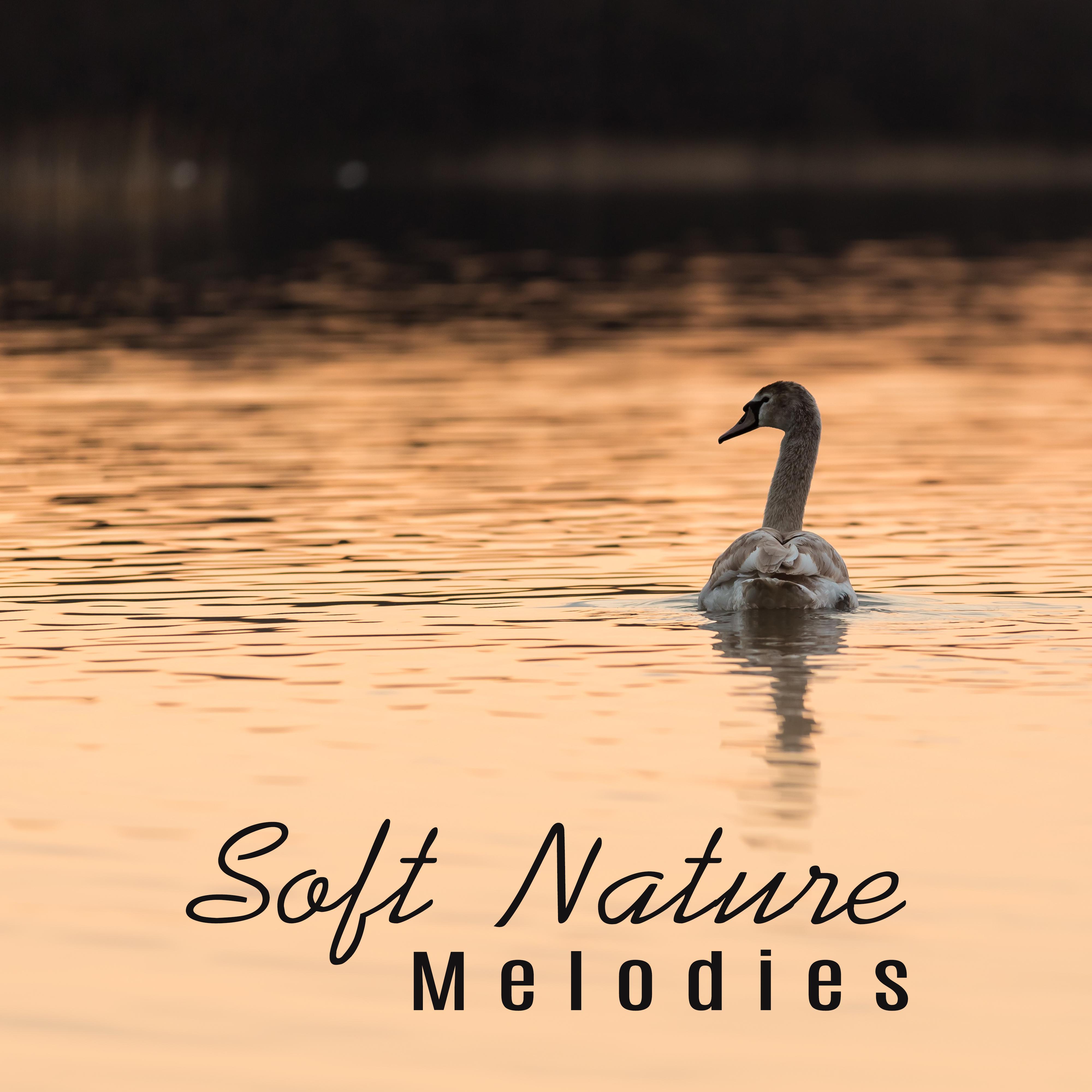 Soft Nature Melodies  Healing Sounds, Music for Mind Rest, Inner Relaxation, Peaceful Waves, No More Stress