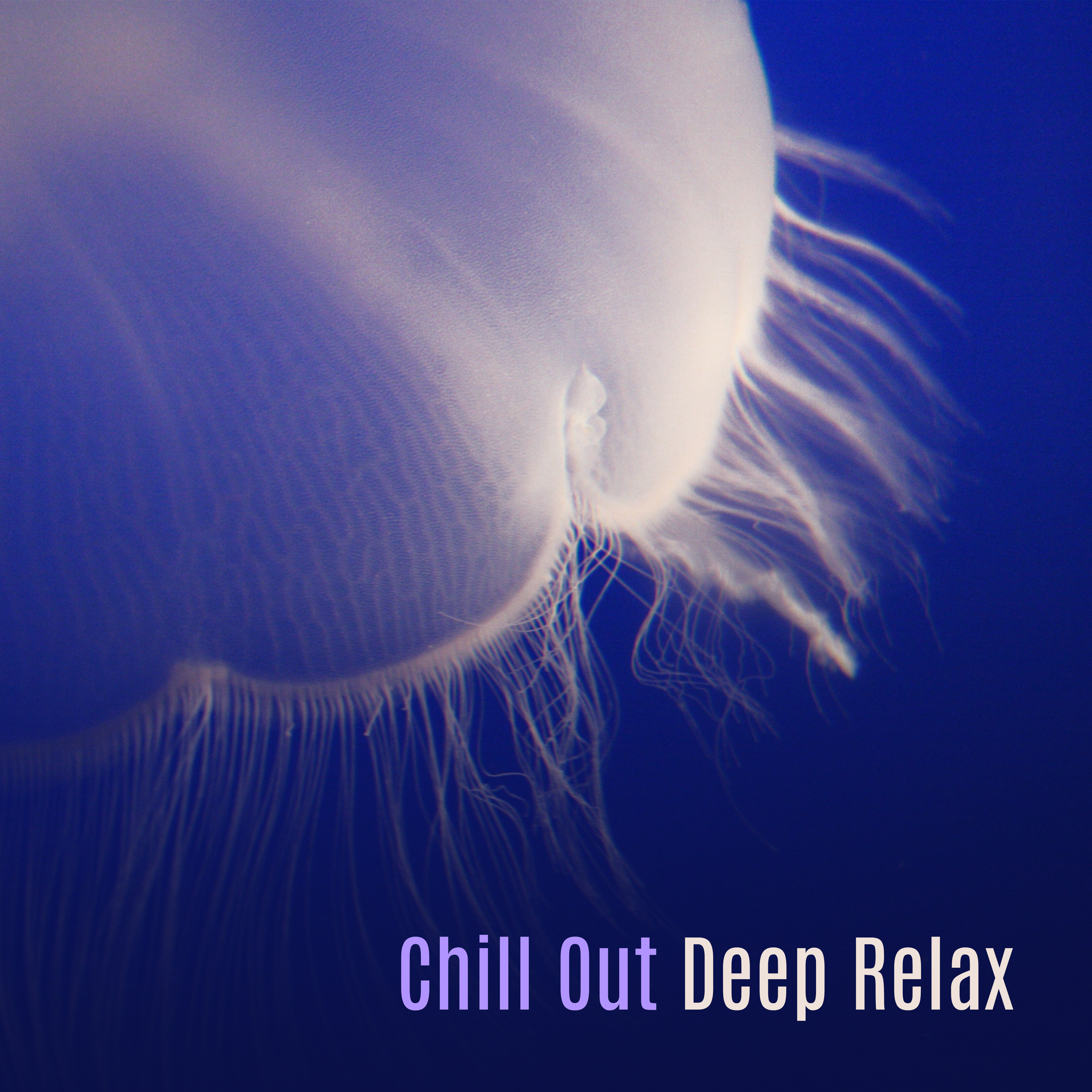 Chill Out Deep Relax  Calm Chill Out Music, Rest a Bit, Peaceful Waves, Summer Chill Vibes