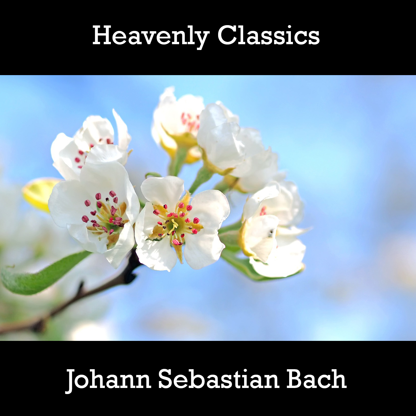 Heavenly Classics Johann Sebastian Bach