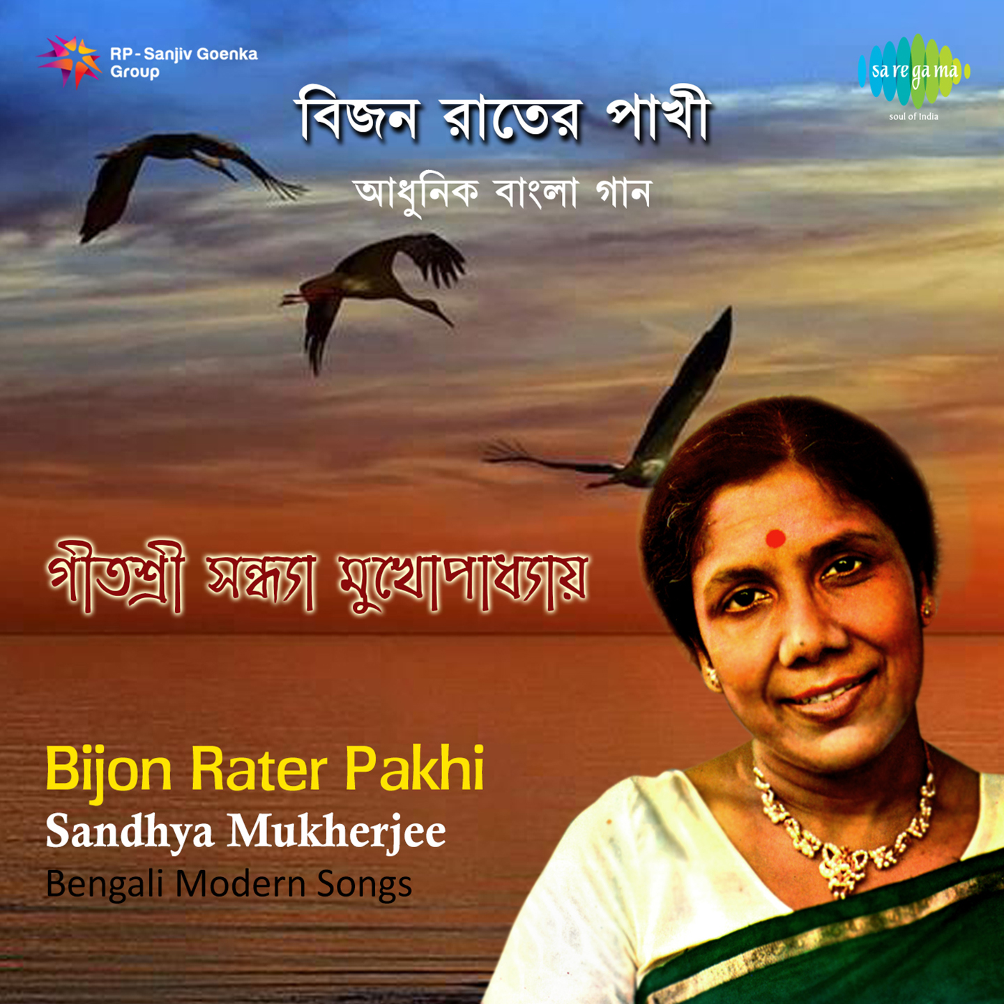 Sandhya Bijon Rater Pakhi