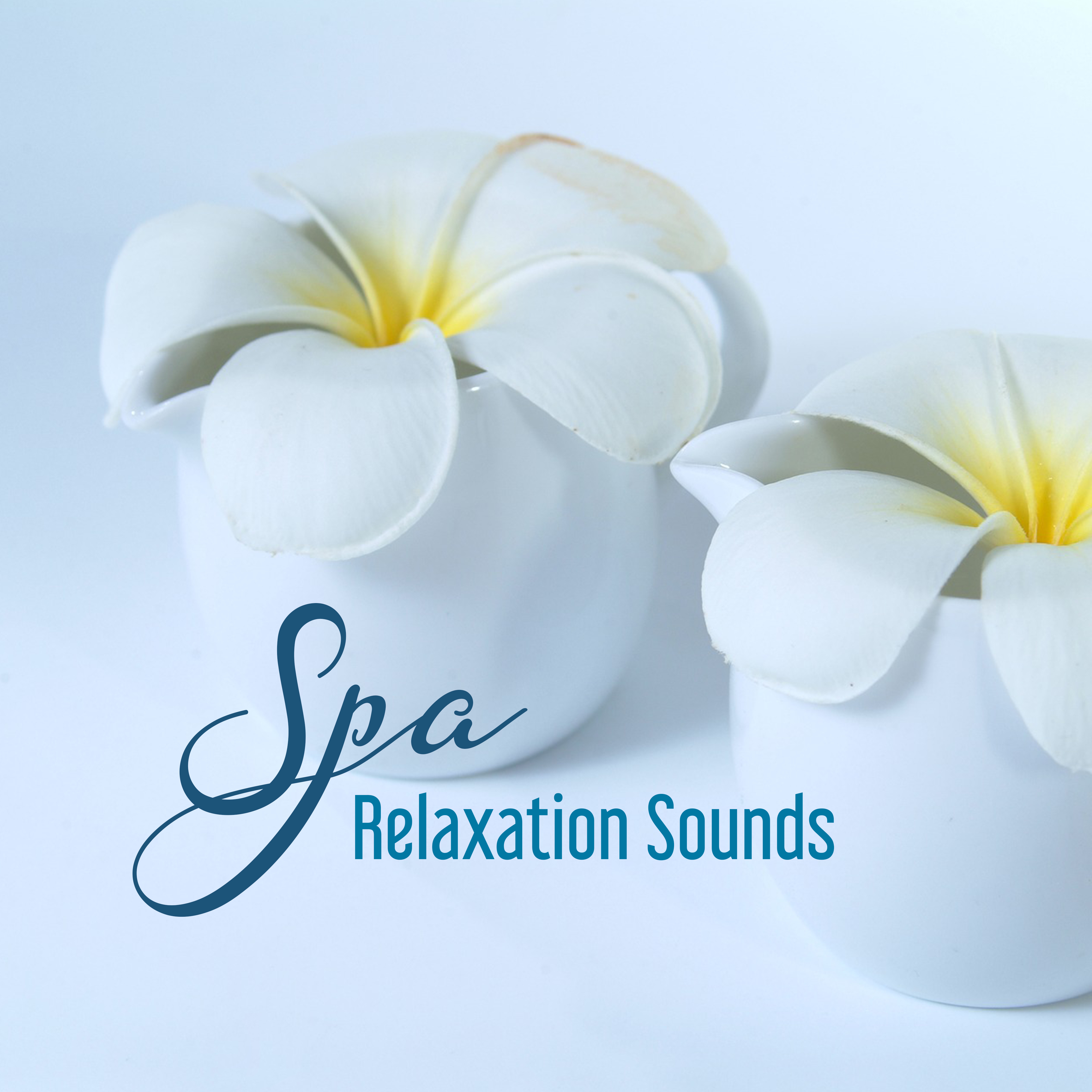 Spa Relaxation Sounds  Beautiful Memories, Soothing Sounds, Music to Rest  Relax