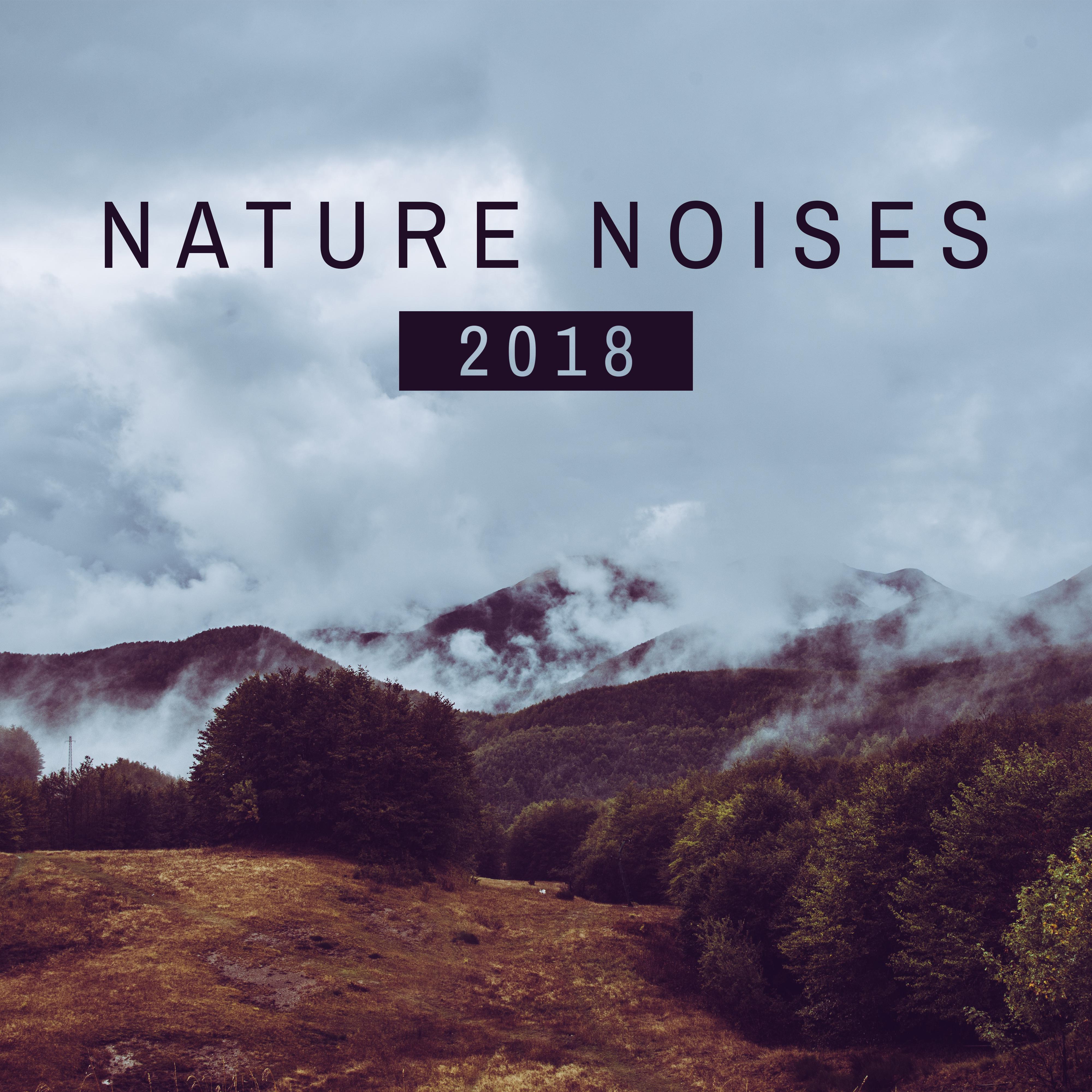 Nature Noises 2018