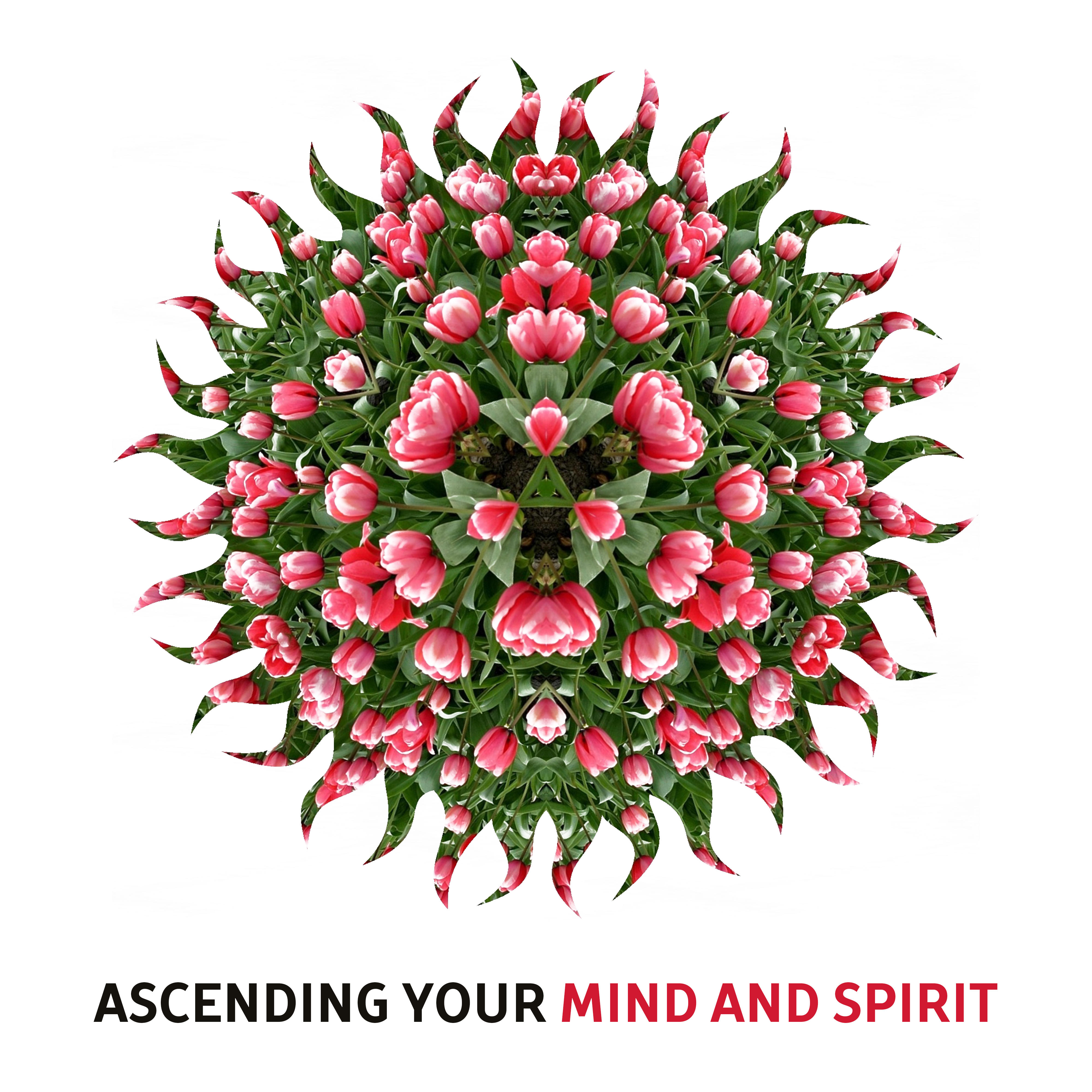Ascending Your Mind and Spirit  Meditation Music to Calm Inner Spirit, Buddha Lounge, Calming Waves, Zen Garden
