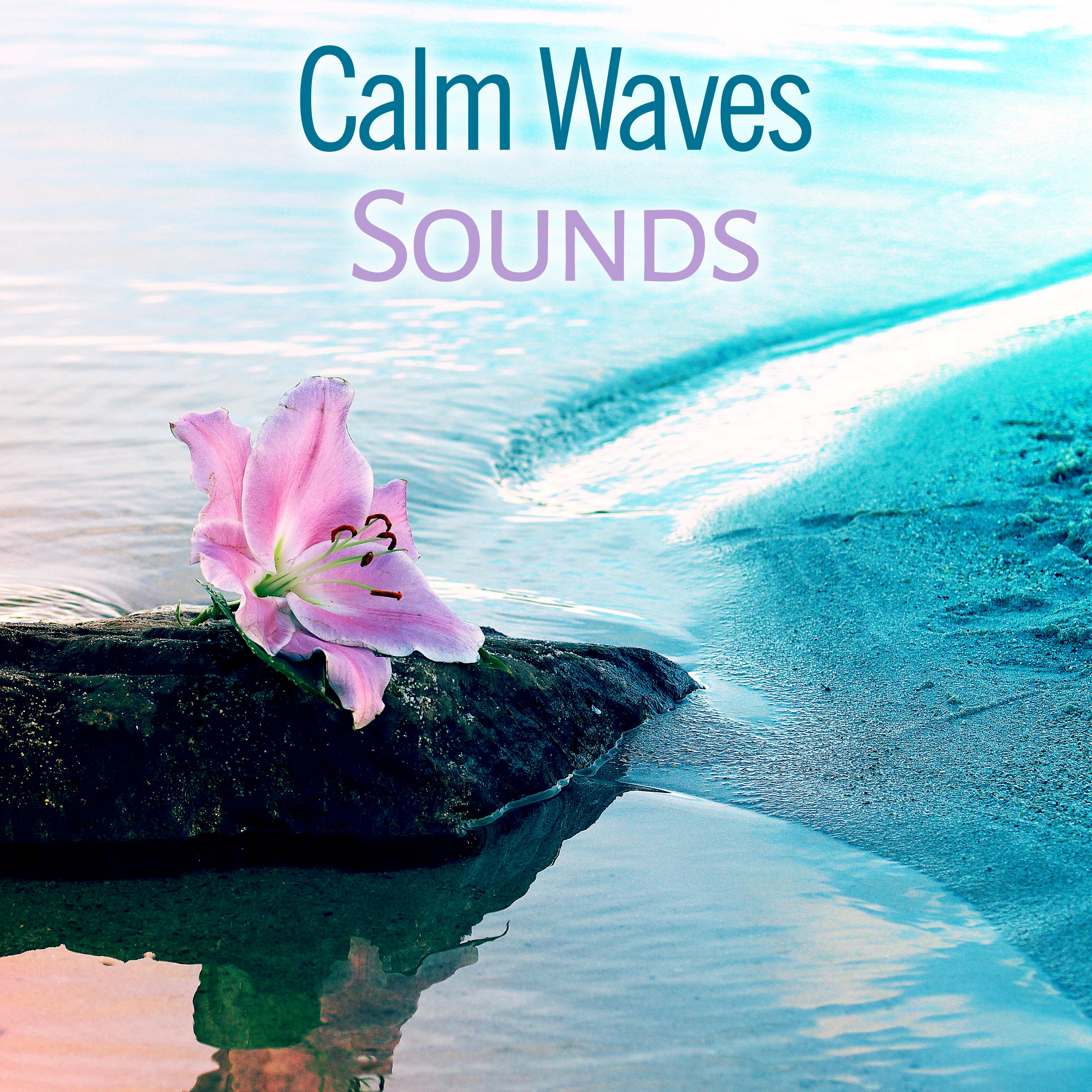 Calm Waves Sounds  Pure Nature Music, Relaxing Music, Helpful for Full Rest After Work