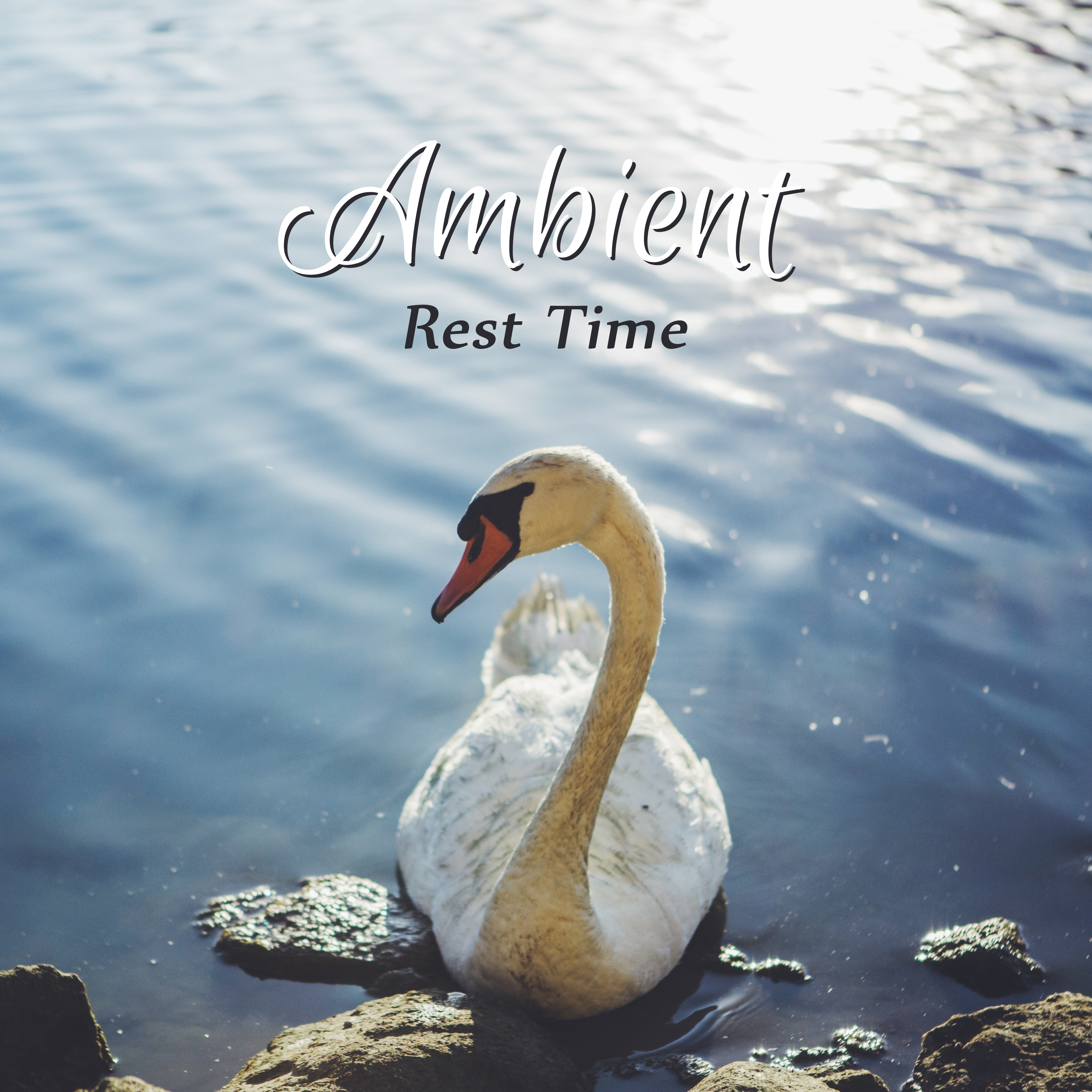 Ambient Rest Time  New Age 2017, Stress Relief, Rest, Nature Sounds, Relaxing Music, AntiStress Music