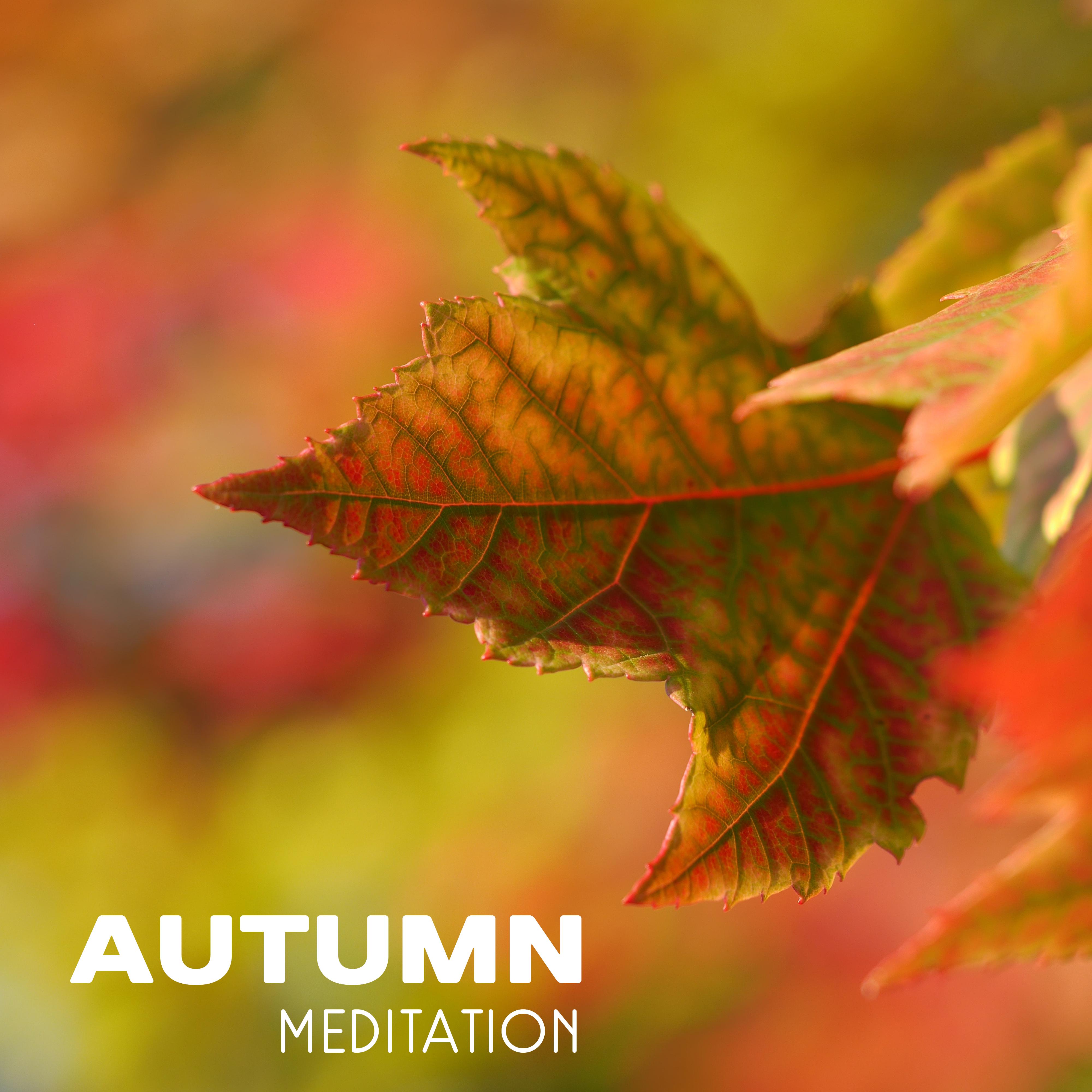 Autumn Meditation  Music for Yoga, Meditaion, Mantra, Mindfulness Training, Relaxation with Nature Sounds
