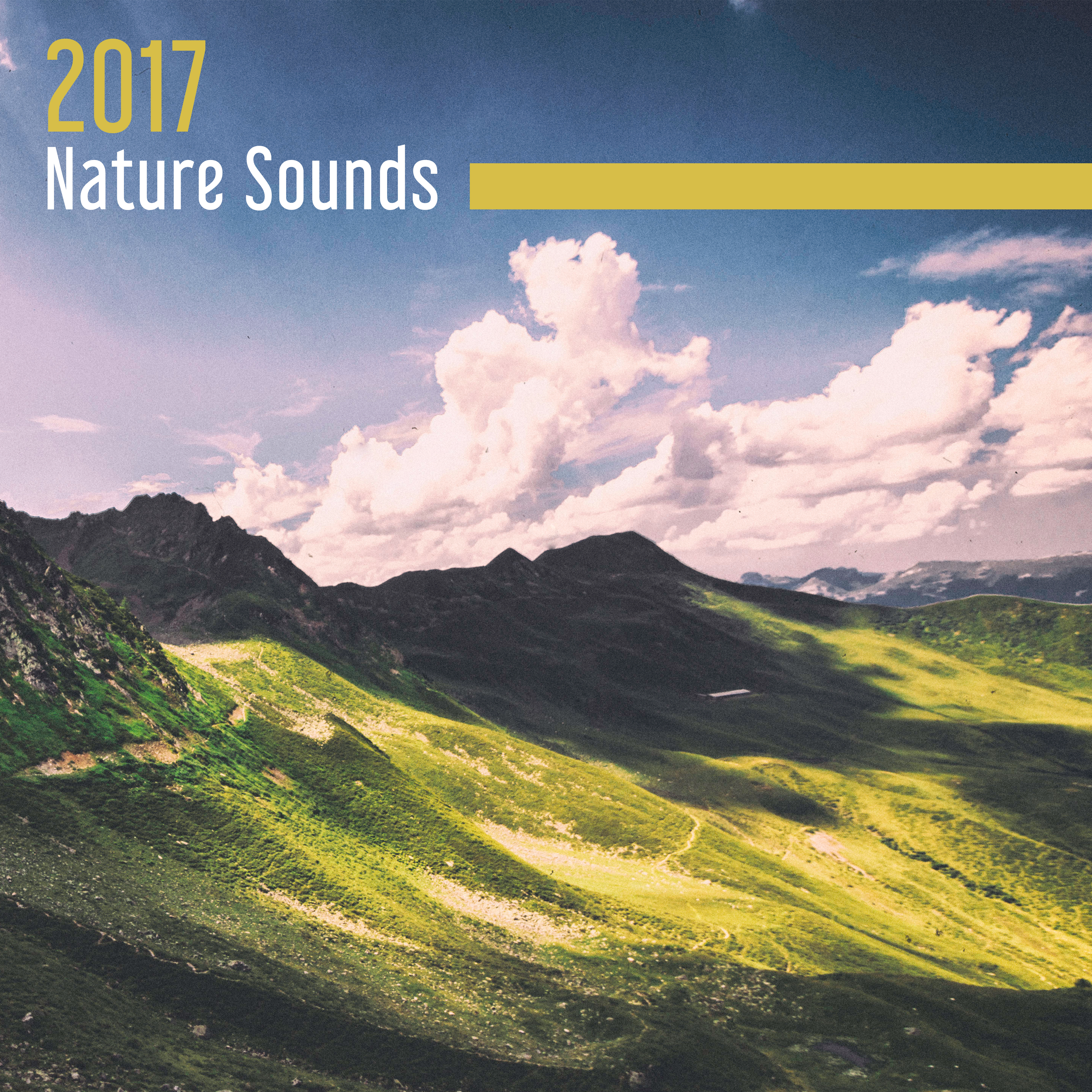 2017 Nature Sounds  Deep Healing Nature Relaxing Music Therapy for Stress Relief and Tranquility