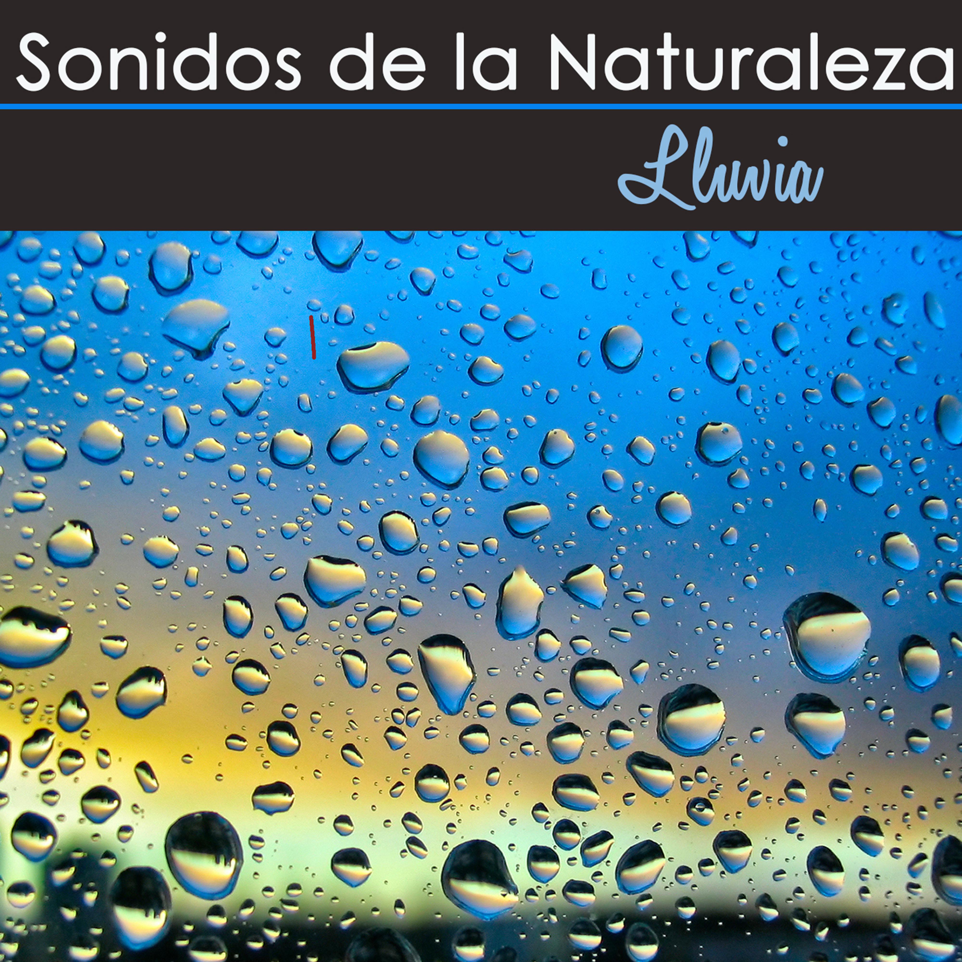 Sonidos de la Naturaleza  Lluvia, Musica Relajante con Sonidos de la Lluvia