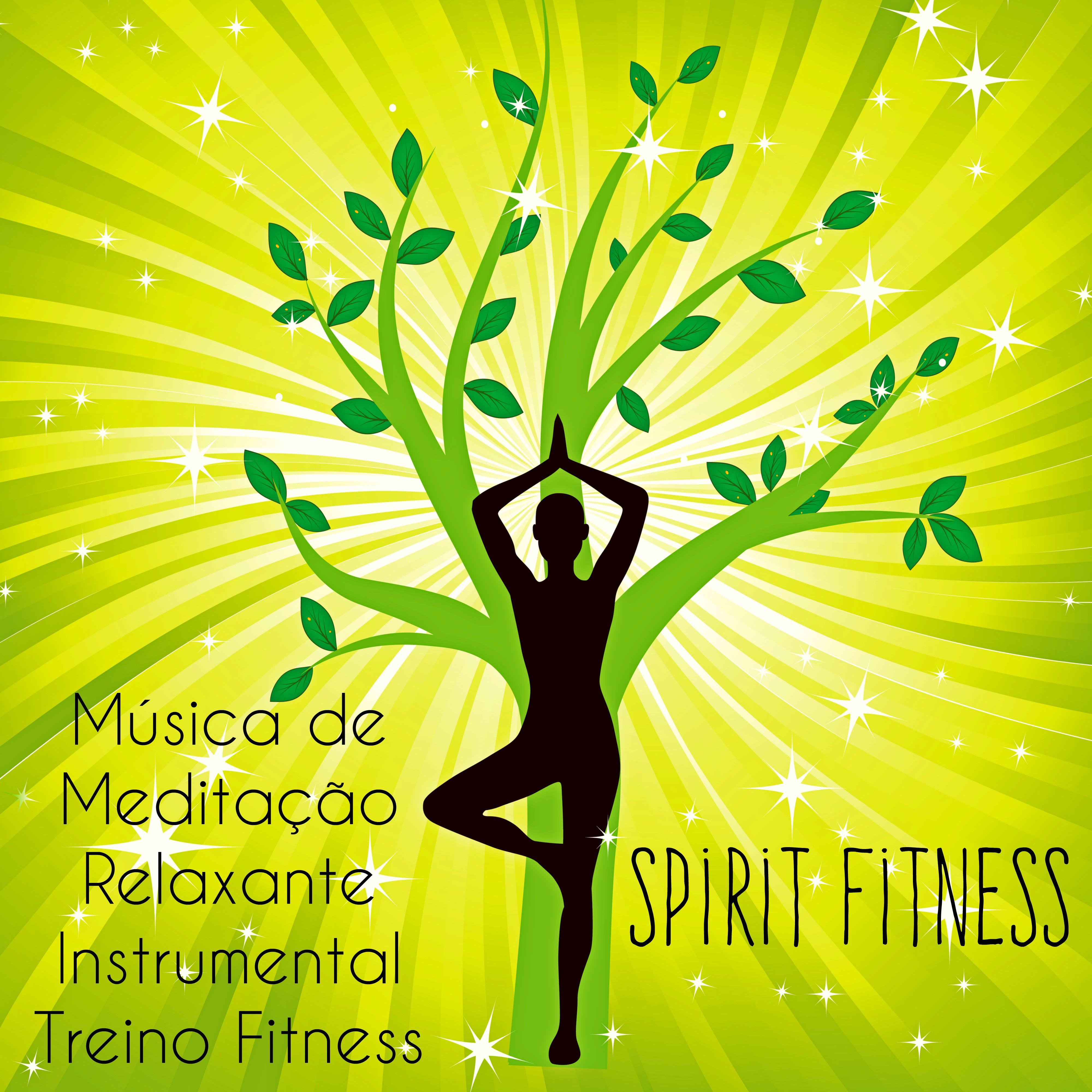 Spirit Fitness  Mu sica de Medita o Relaxante Instrumental Treino Fitness para Reduzir a Ansiedade Saude e Bem Estar