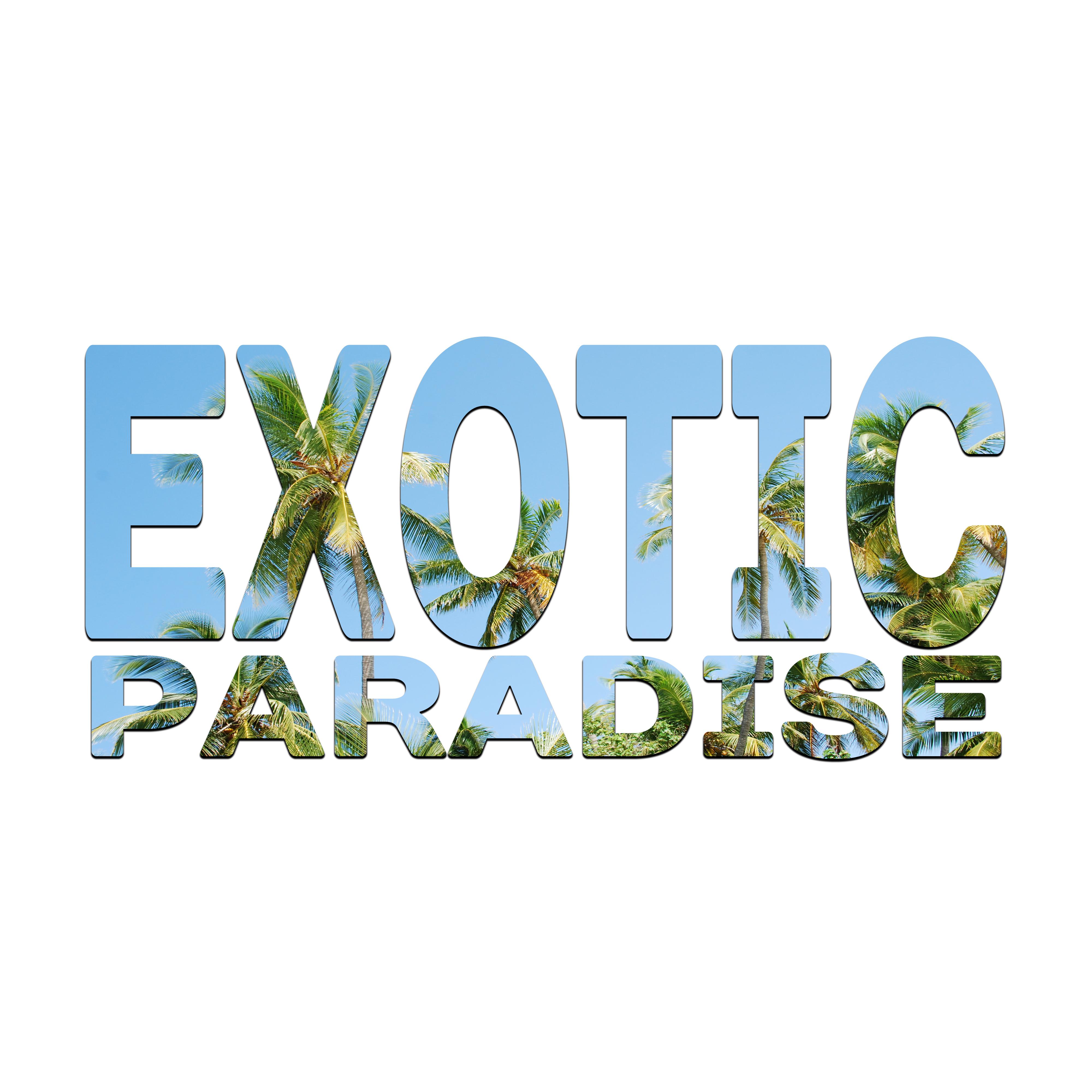 Exotic Paradise  Beach Party, Ibiza Dance Party, Summer Beats, Deep Vibes,  Music, Sensual Dance