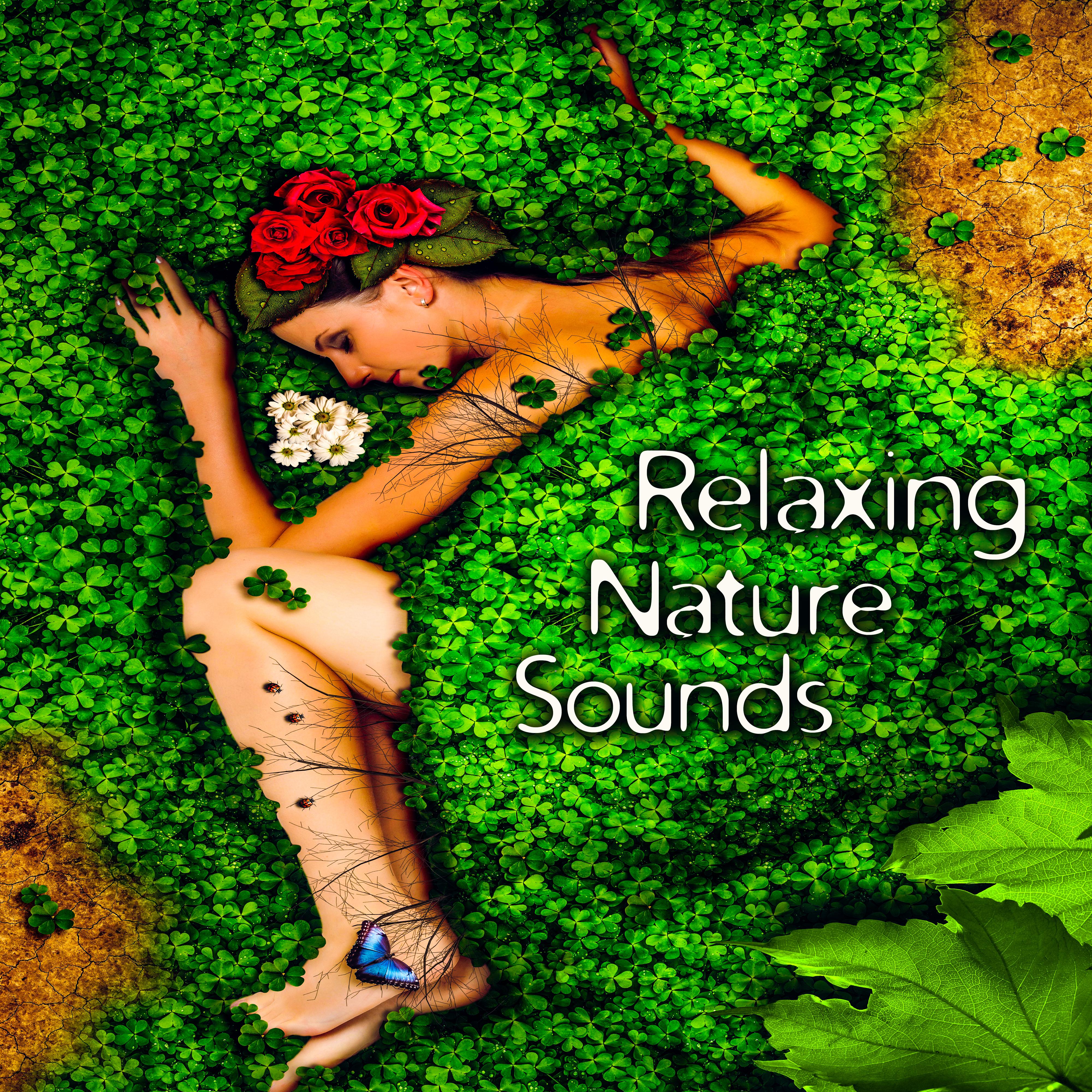 Relaxing Nature Sounds  Soft Music to Calm Down, Easy Listening, New Age Nature Melodies, Quiet Sounds
