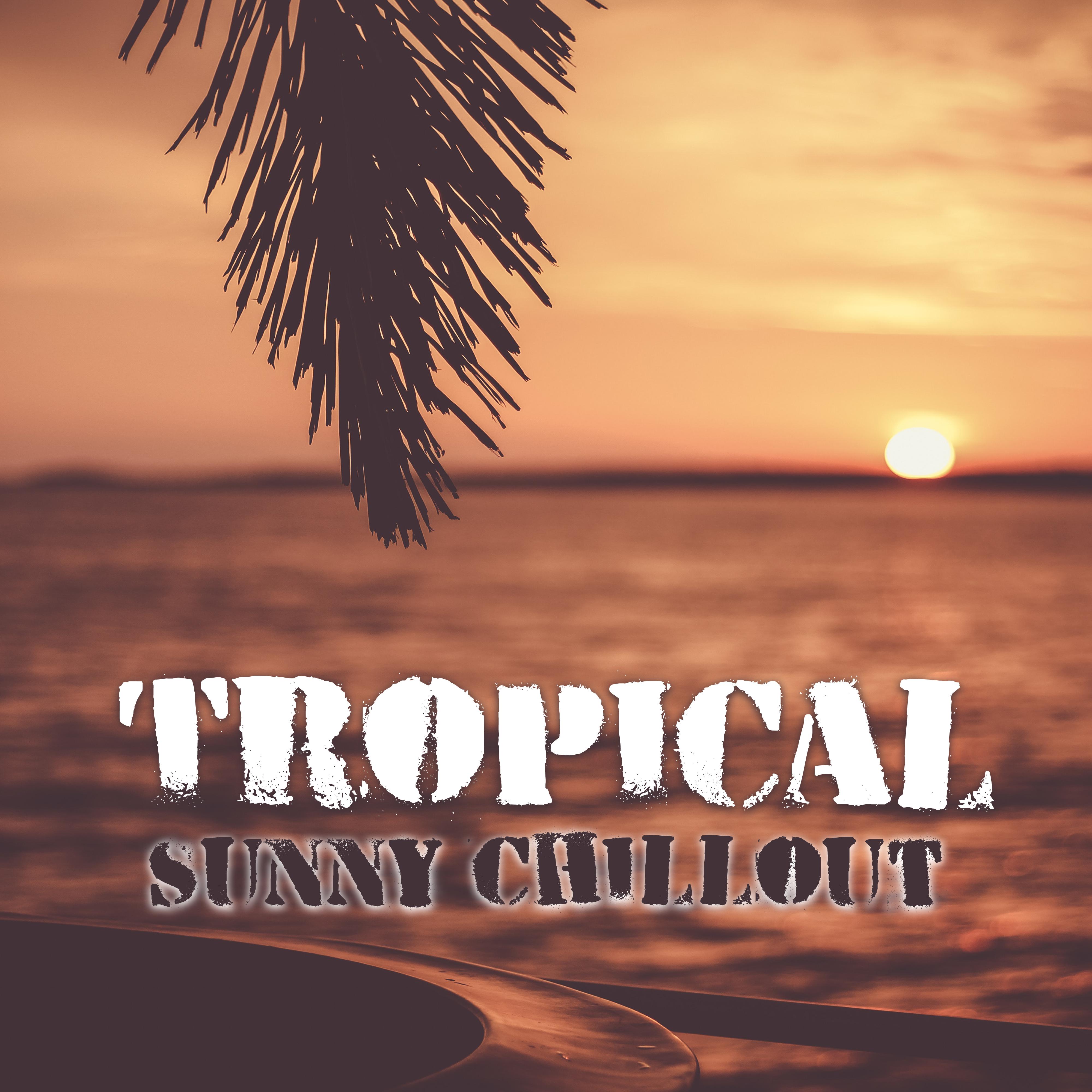 Tropical Sunny Chillout  Exotic Beats, Chill Out Music, Ibiza Island, Fresh Electronic Vibes
