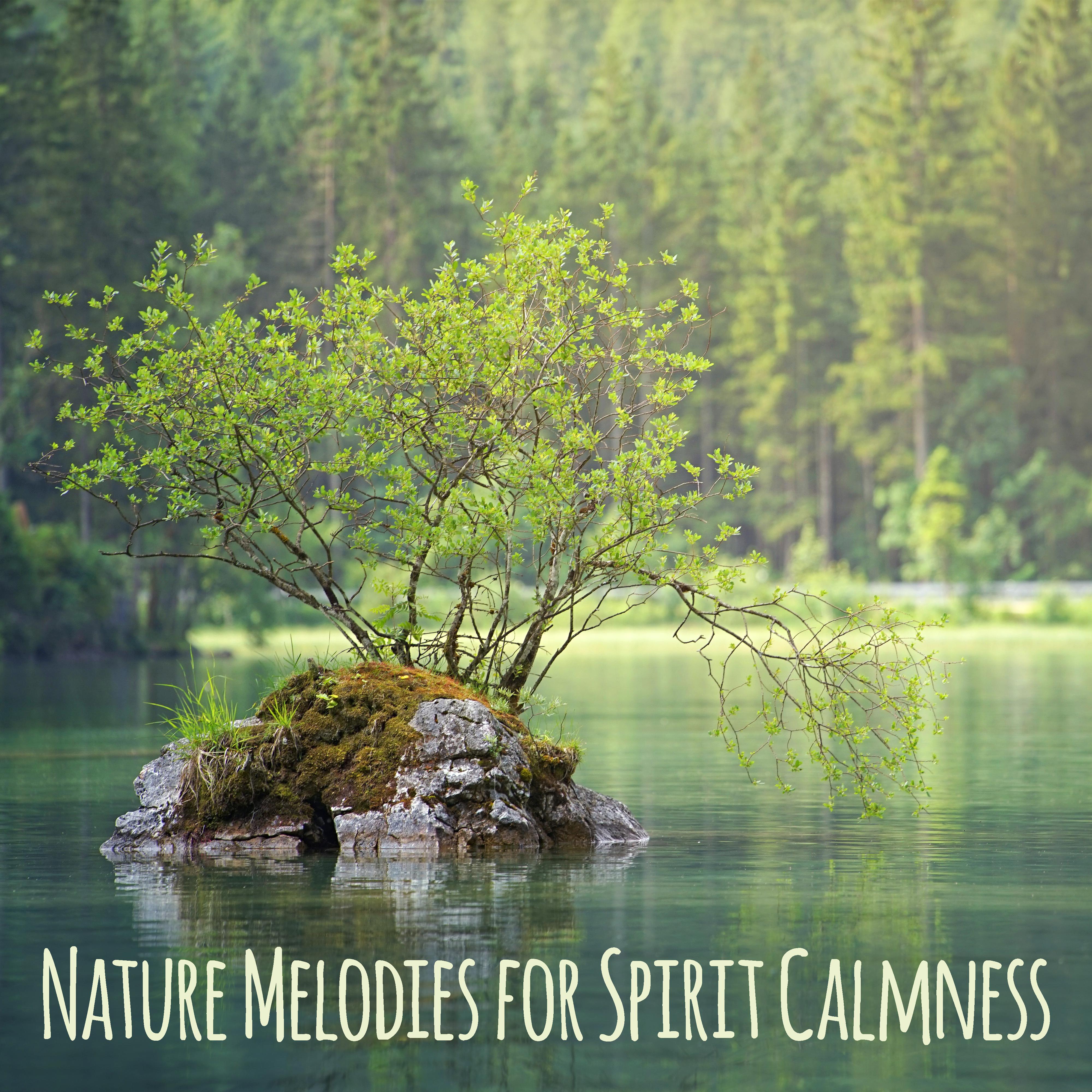 Nature Melodies for Spirit Calmness