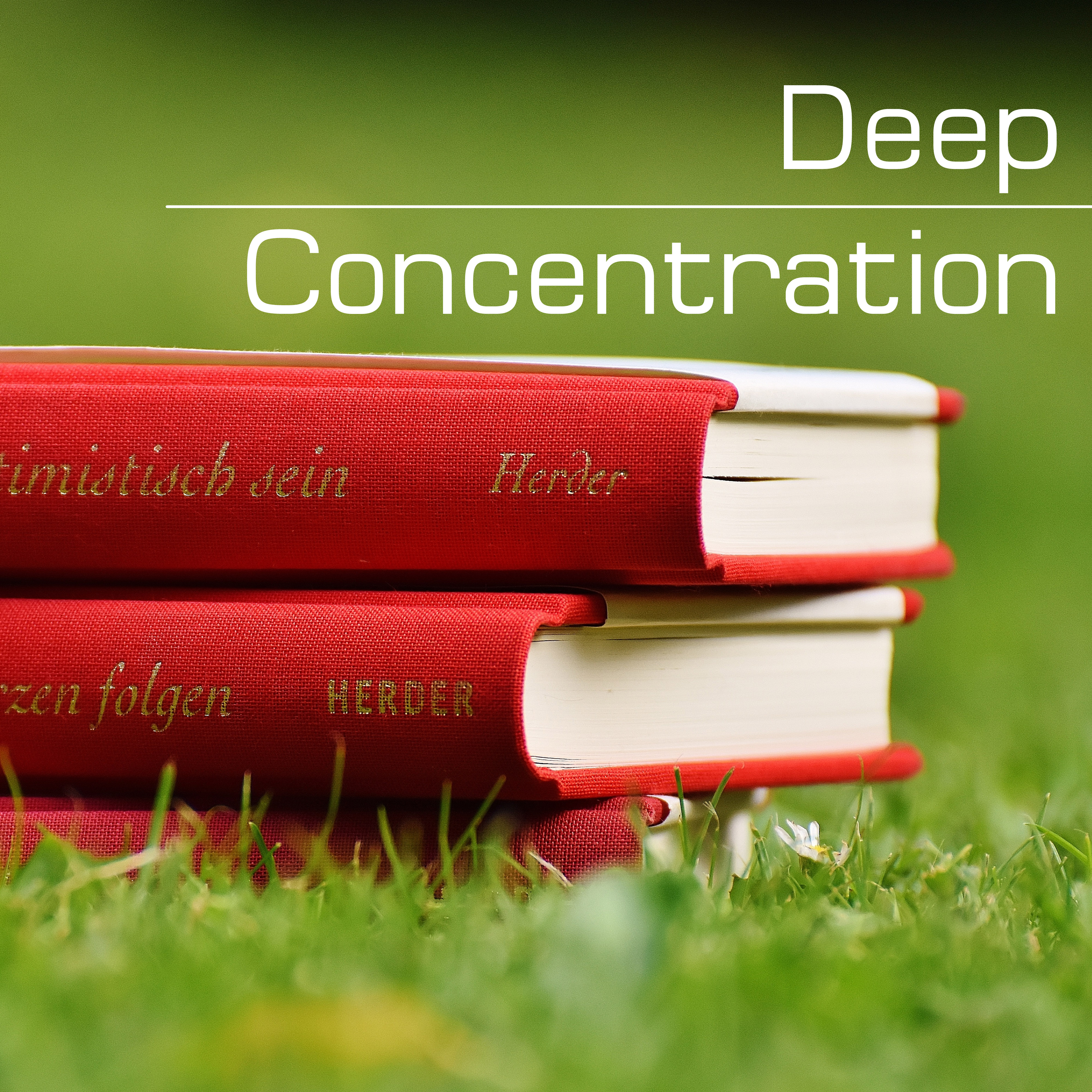 Deep Contrentration