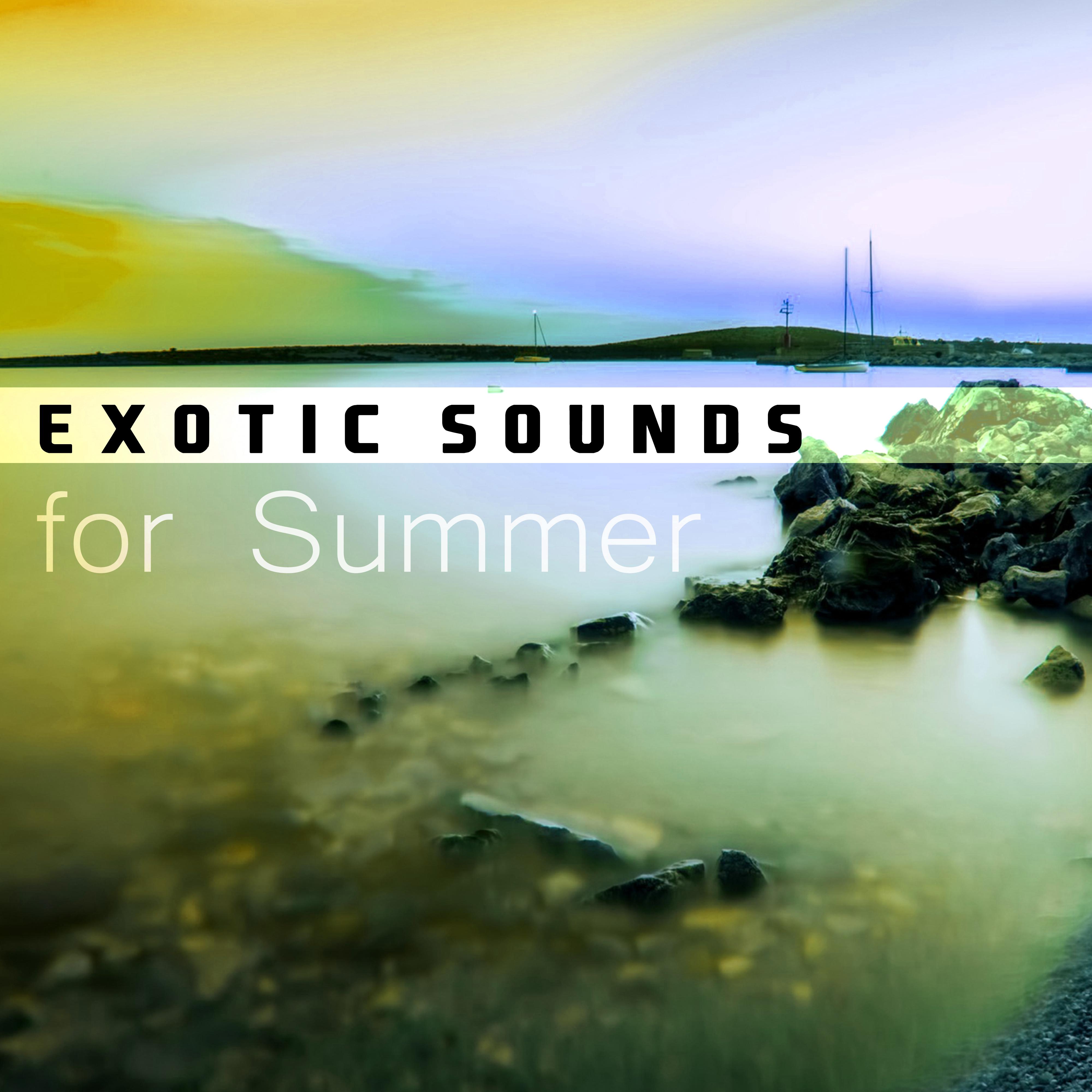 Exotic Sounds for Summer  Chilled Melodies to Calm Down, Summer Rest, Tropical Music