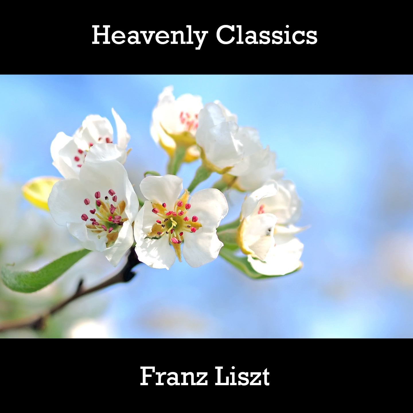 Heavenly Classics Franz Liszt