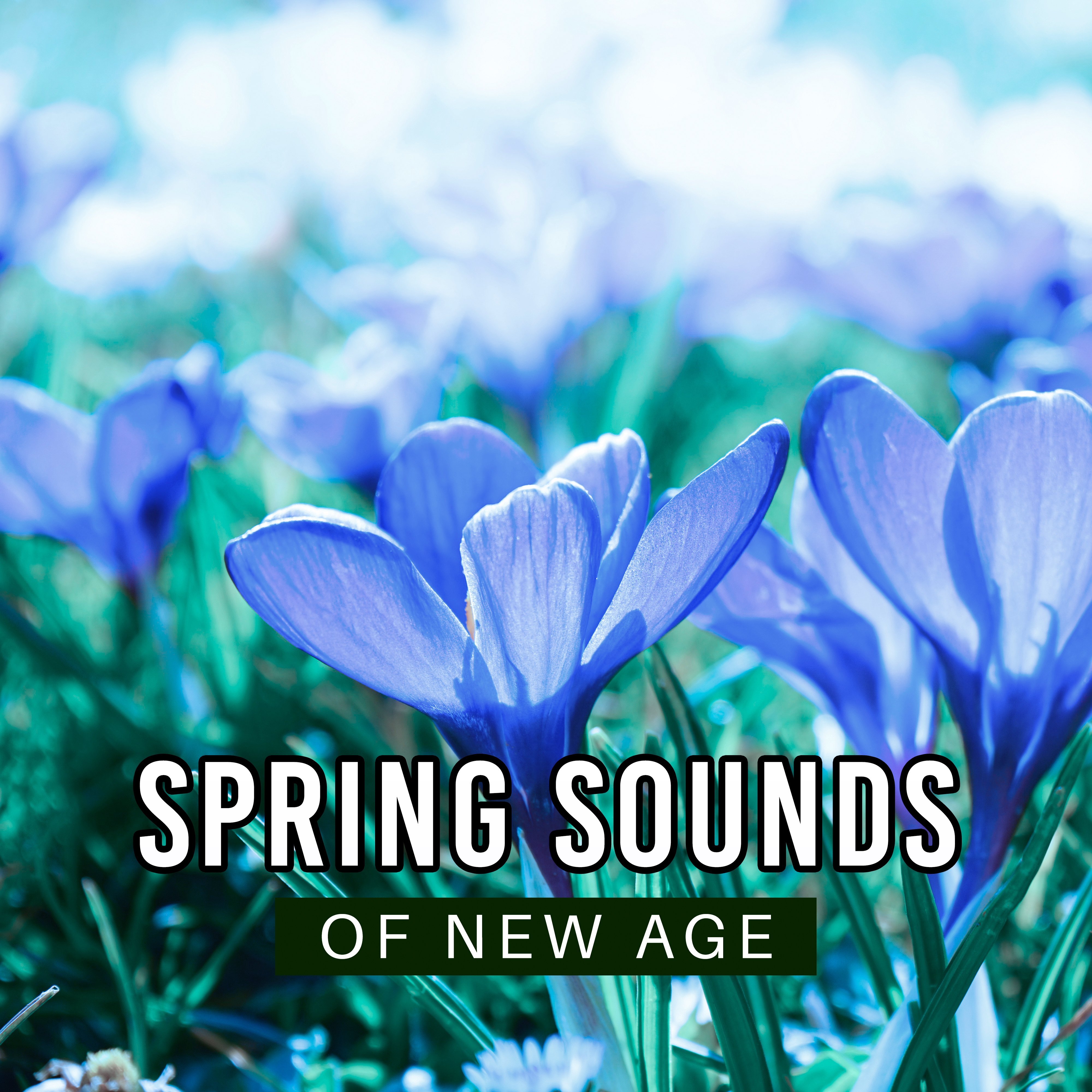 Spring Sounds of New Age  Calming Sounds of Nature, Birds, Water, Deep Relaxing Music, Meditation in the Nature