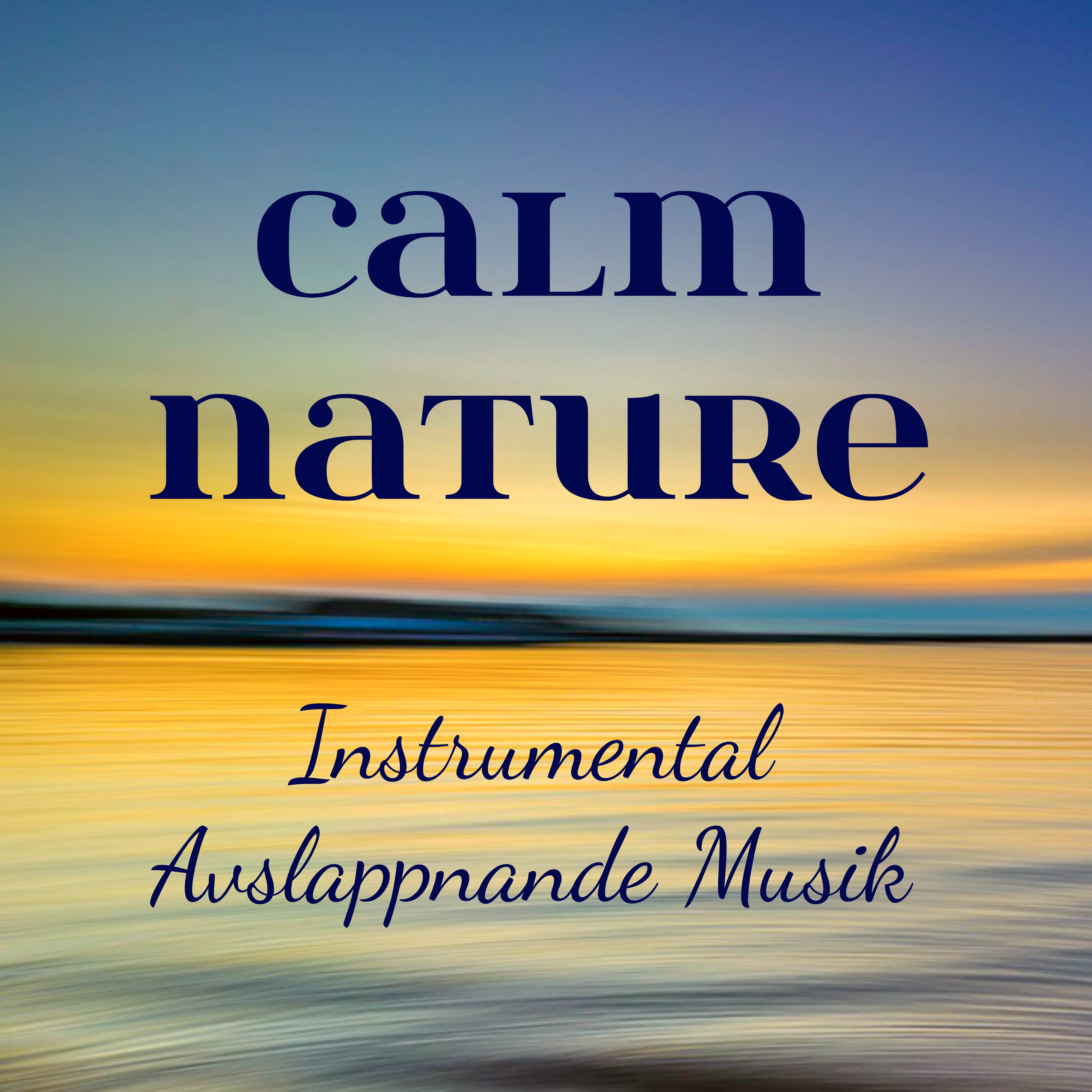 Calm Nature  Instrumental Avslappnande Musik f r Mindfulnesstr ning Massage Terapi Andlig Healing med Natur New Age Ljud