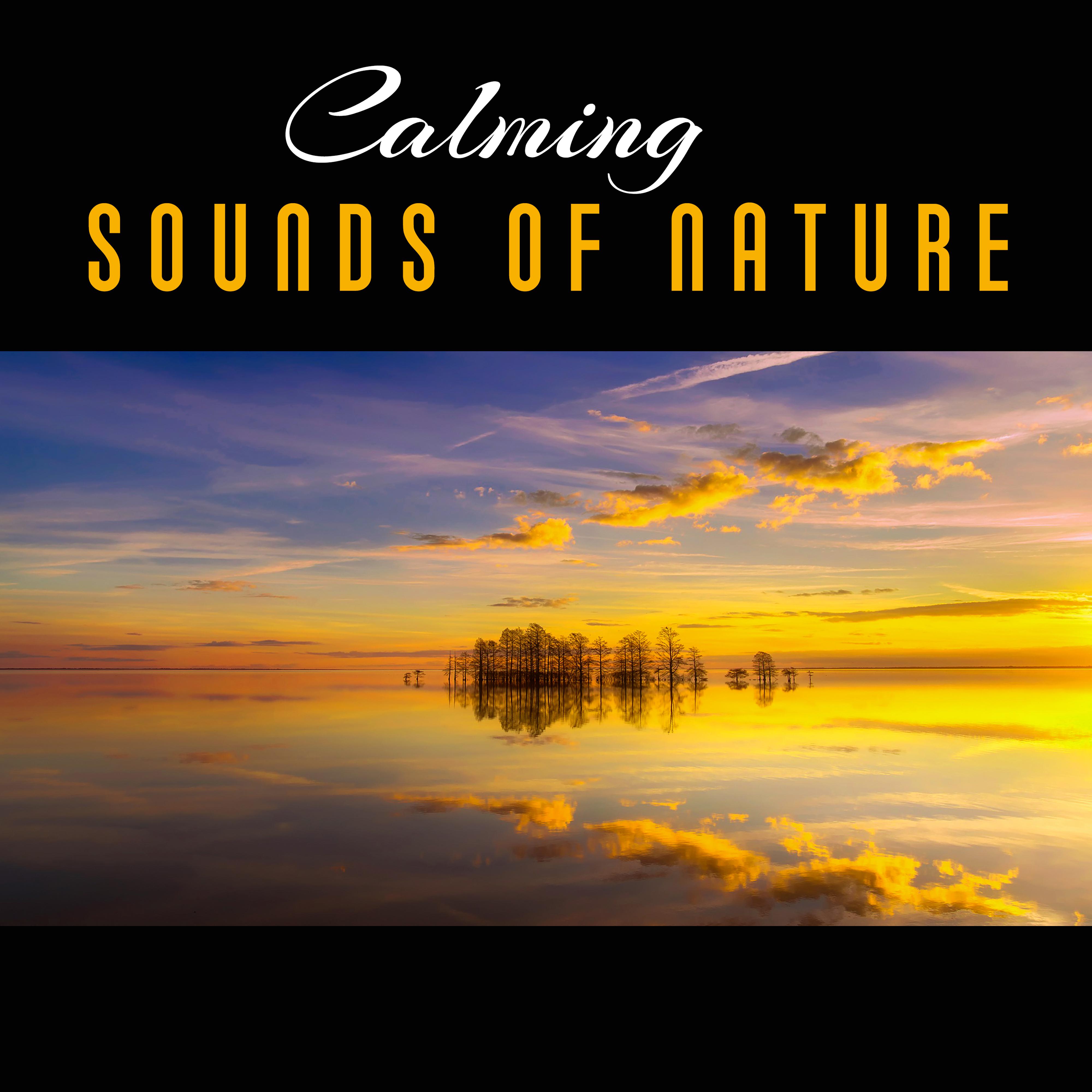 Calming Sounds of Nature  Soft Sounds to Relax, Nature Rest, New Age Music, Spa Massage, Inner Calmness