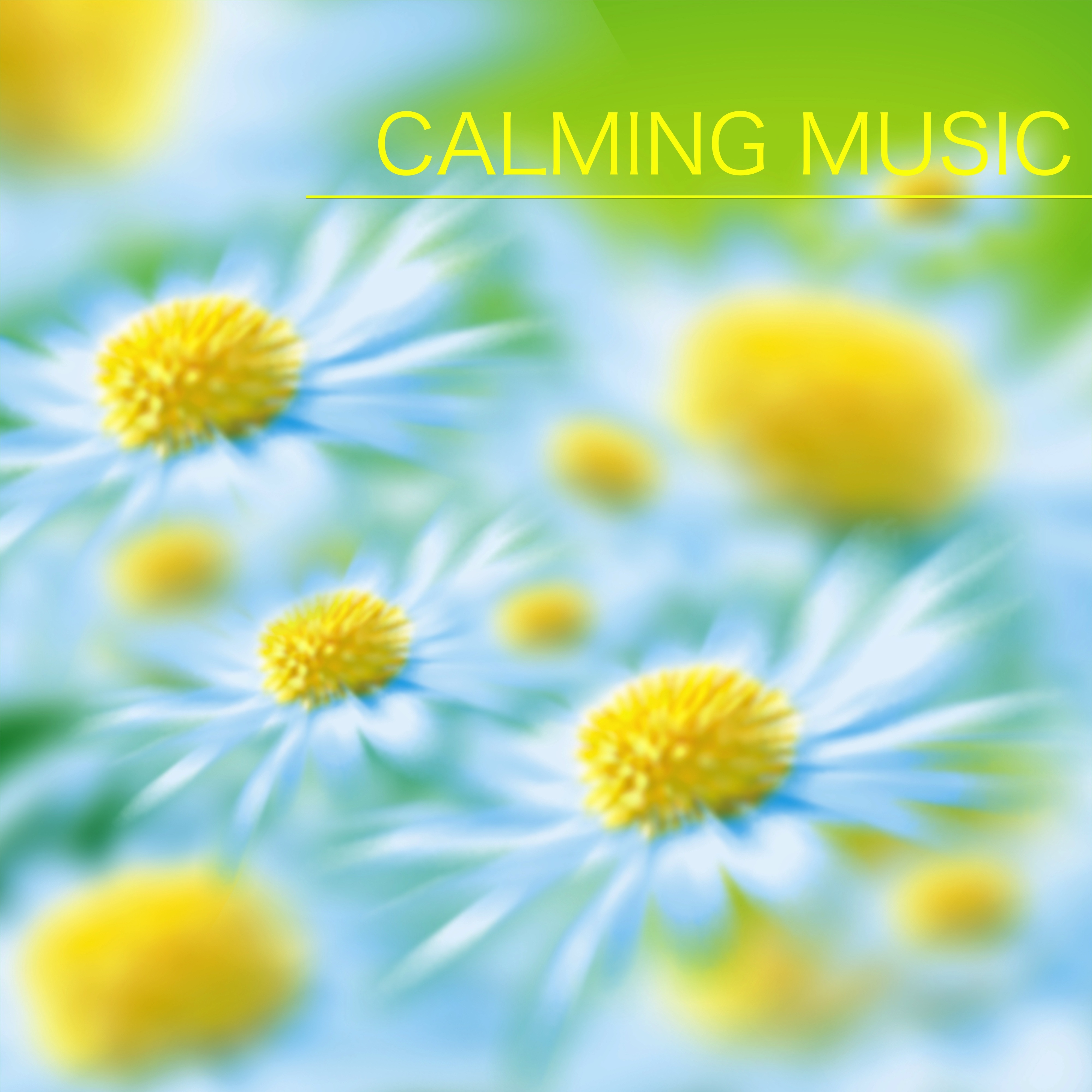 Calm Music for Chakra Meditation Balancing