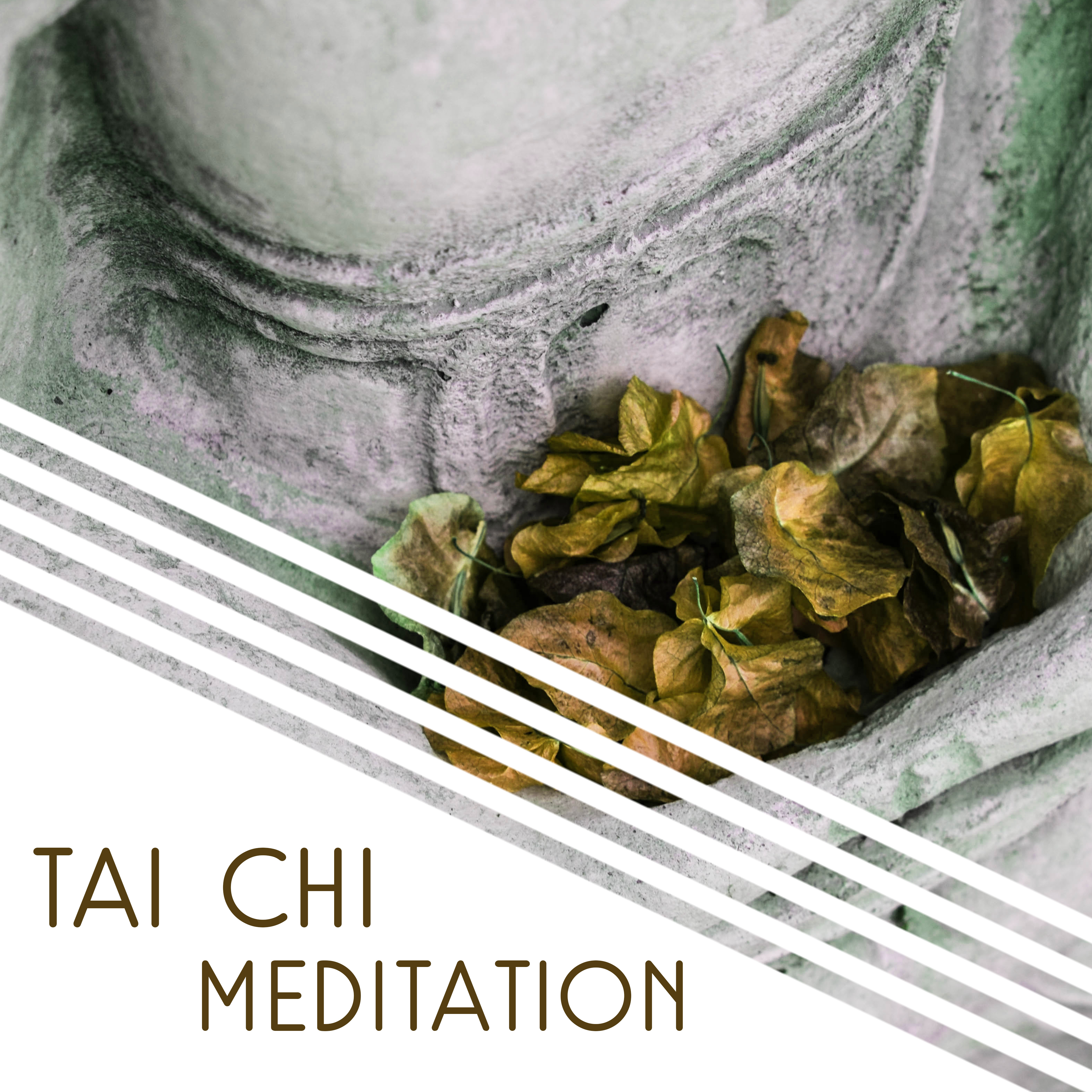 Tai Chi Meditation  Relaxation Music, Meditation, Yoga, Tai Chi, Pilates, Mantra, Tantra Background