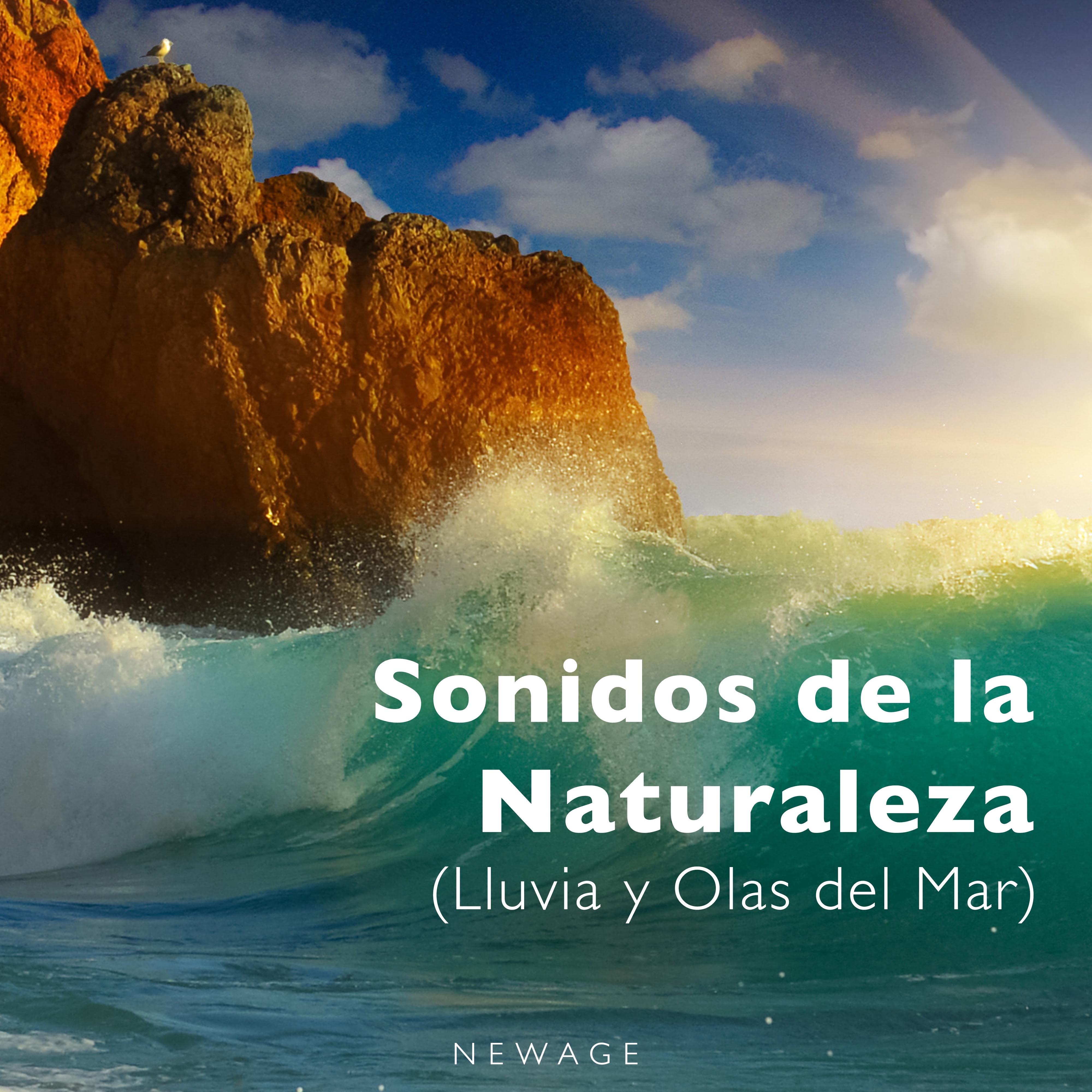 Sonidos de la Naturaleza (Lluvia y Olas del Mar)