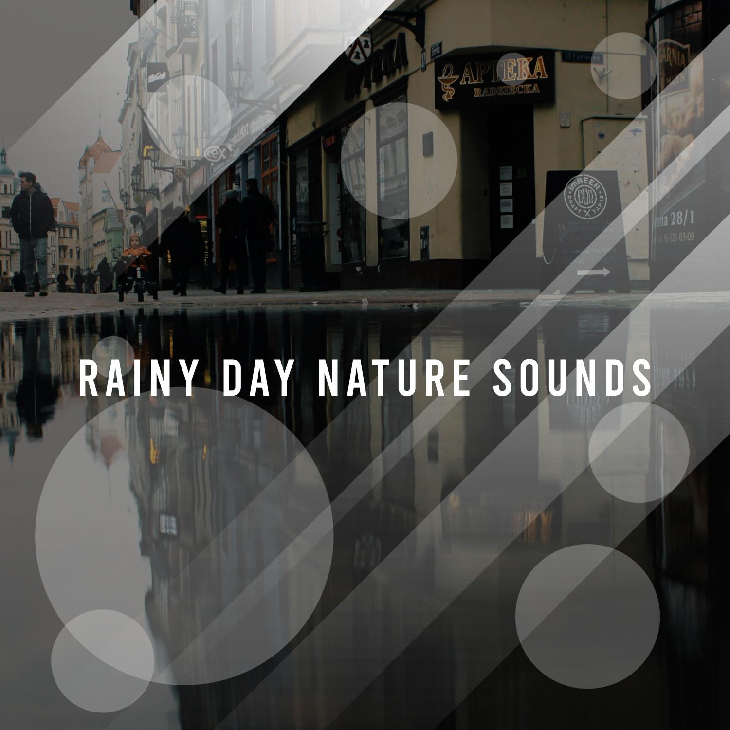 16 Rainy Day Nature Sounds - Calm Down with Rain Sounds
