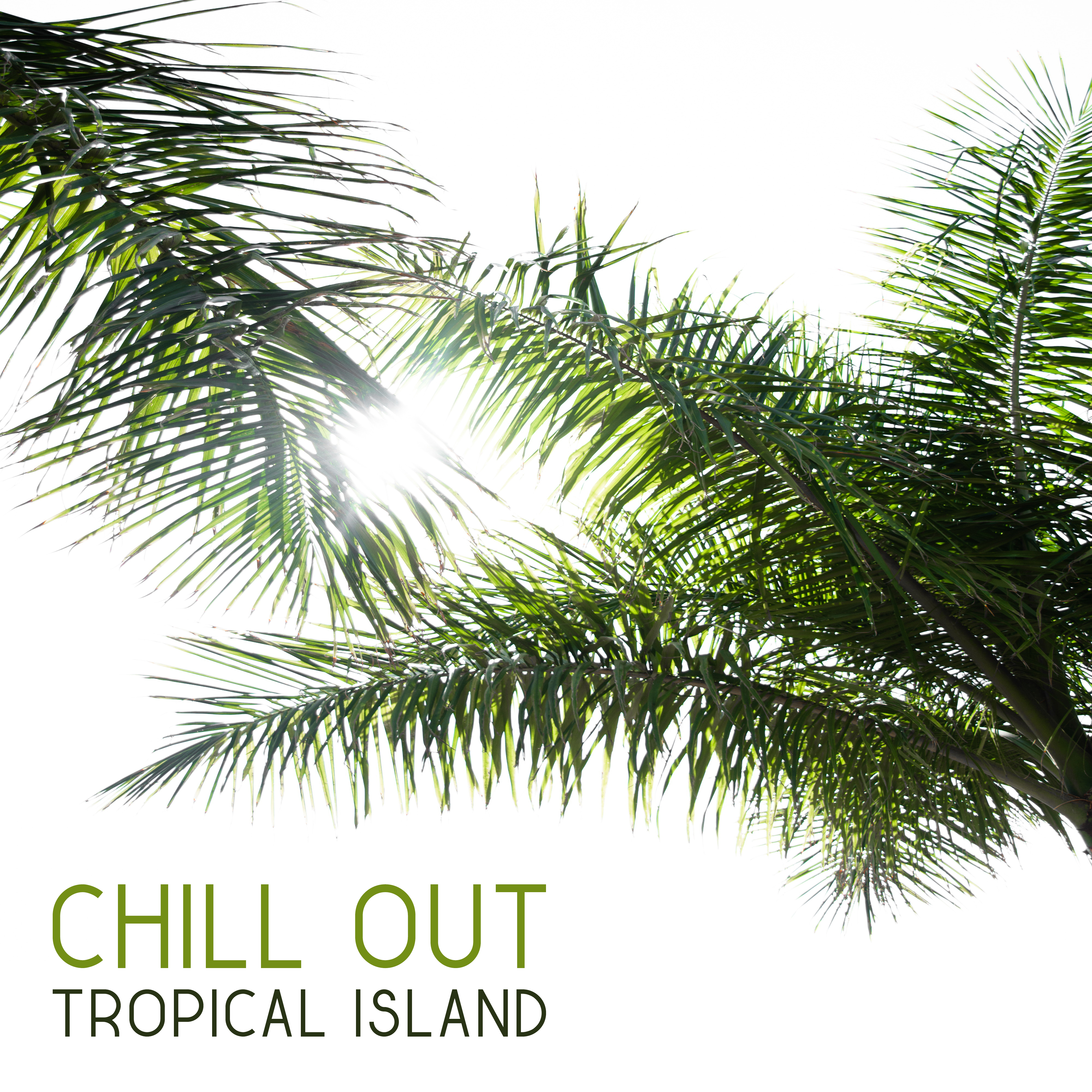 Chill Out Tropical Island  Peaceful Vibes, Exotic Chill Out Music, Stress Relief, Summer Melodies