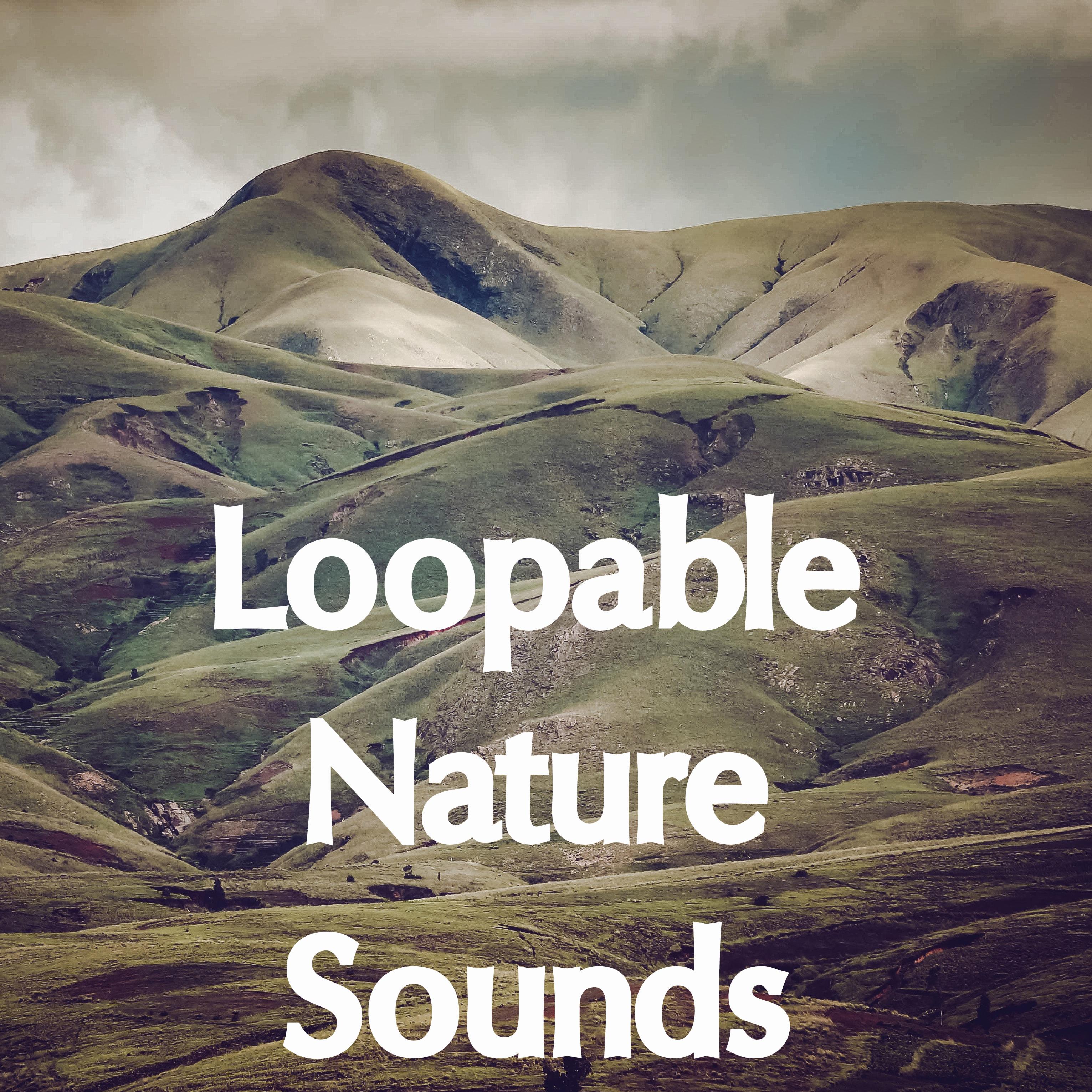 10 Loopable Nature Soundtracks and Water Sounds for Spa and Zen