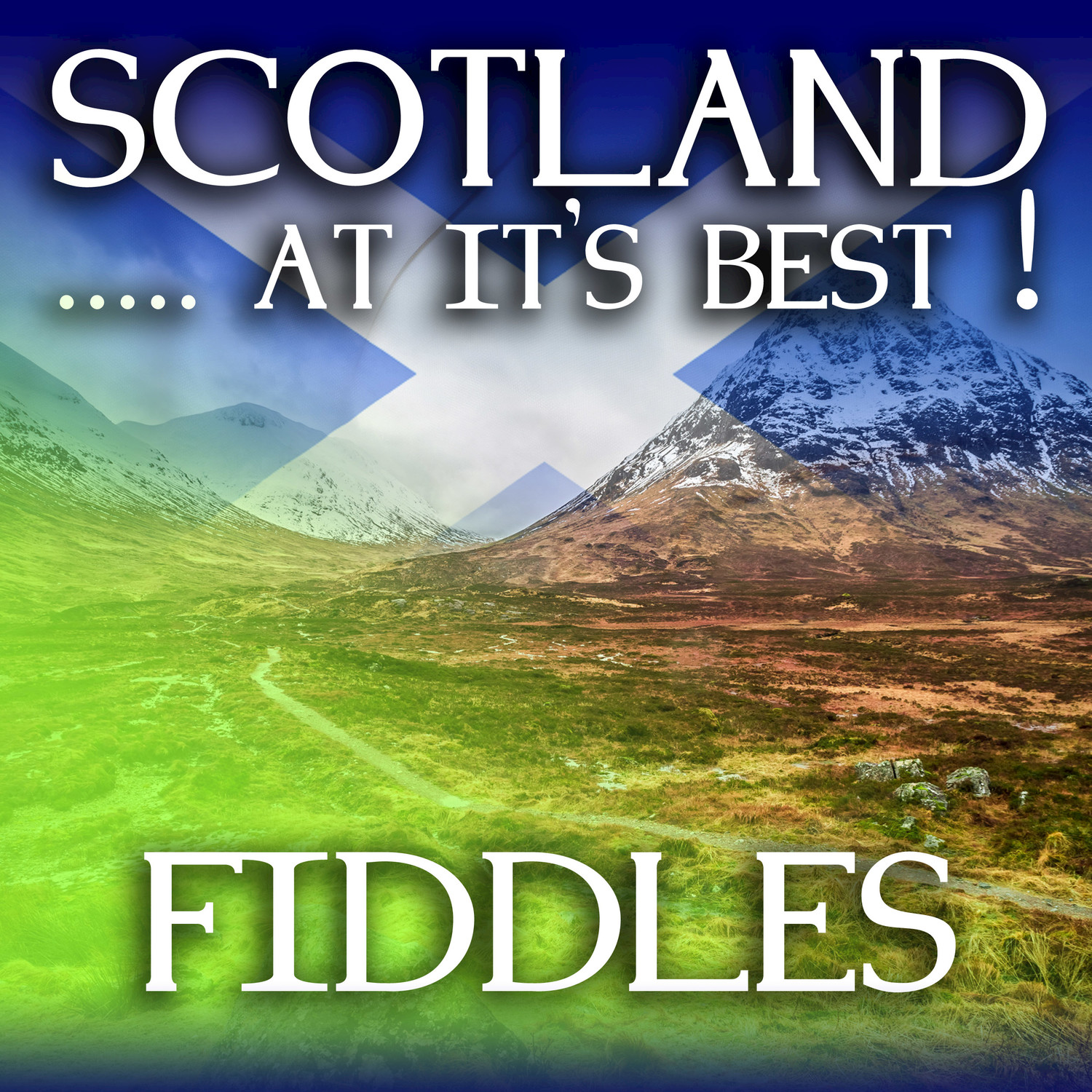 Scotland...at it's Best!: Fiddles