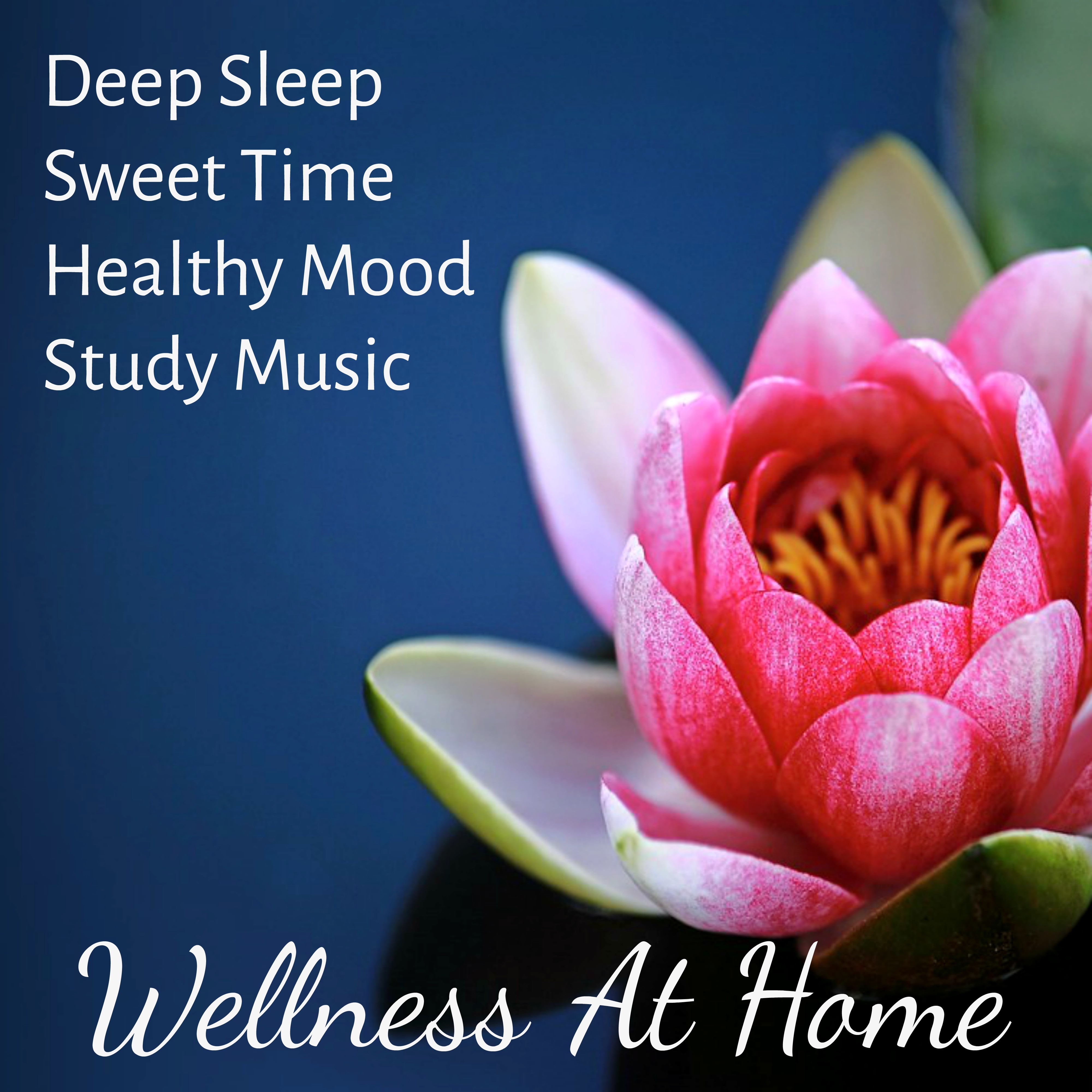 Wellness At Home - Deep Sleep Study Sweet Time Healthy Mood Music for Inner Stillness Zen Garden Never Stop