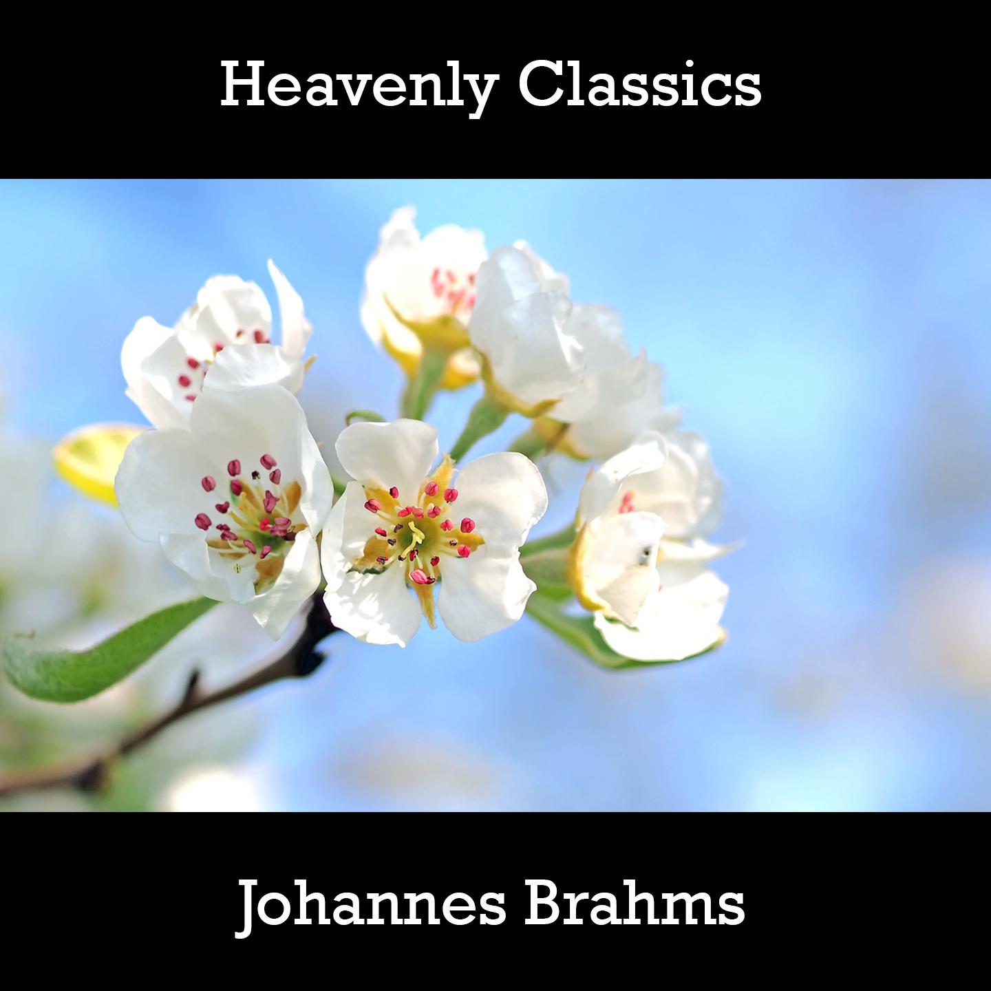 Heavenly Classics Johannes Brahms