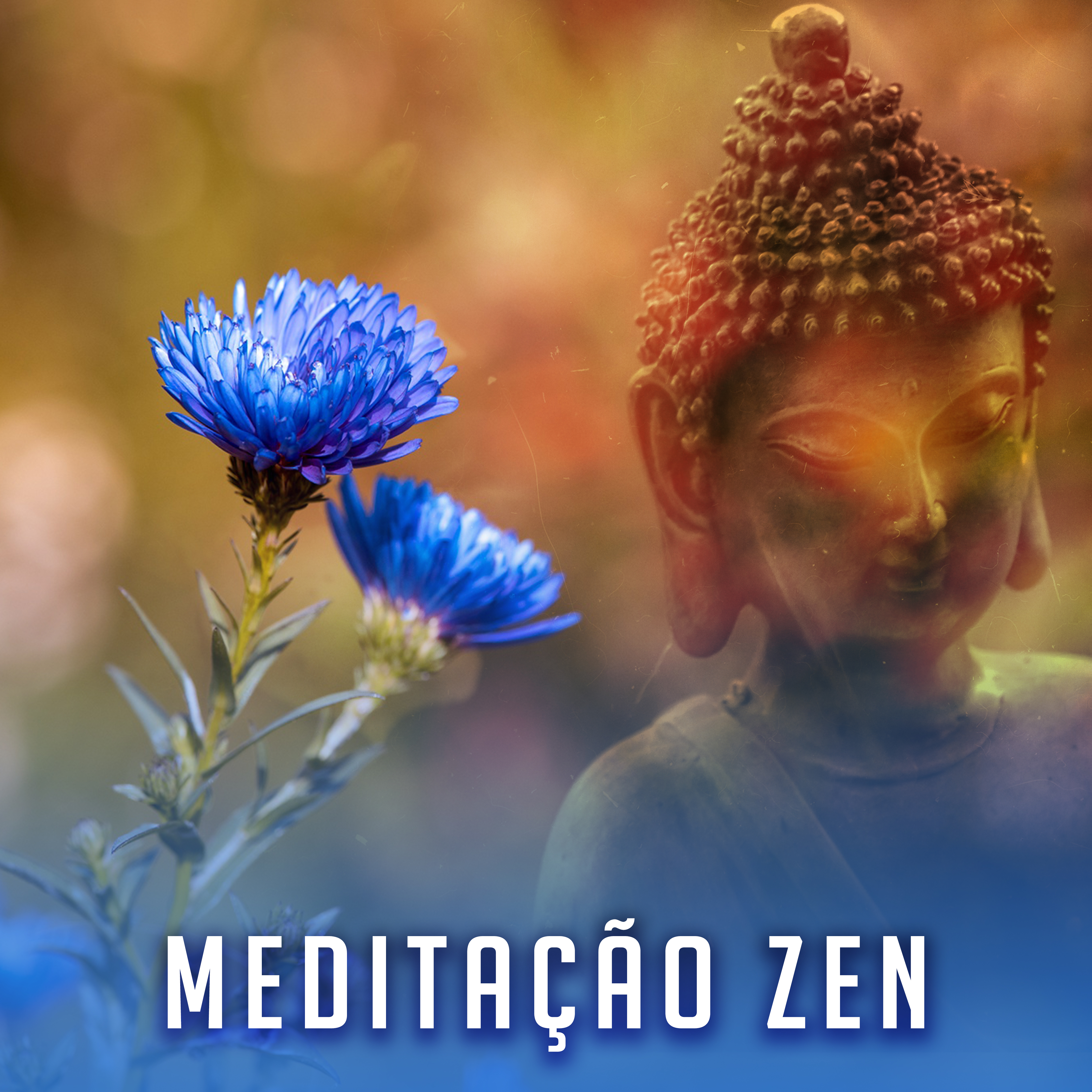 Medita o Zen  Medita o Suave, Terapia de Cicatriza o Ambiental, Mente Aberta