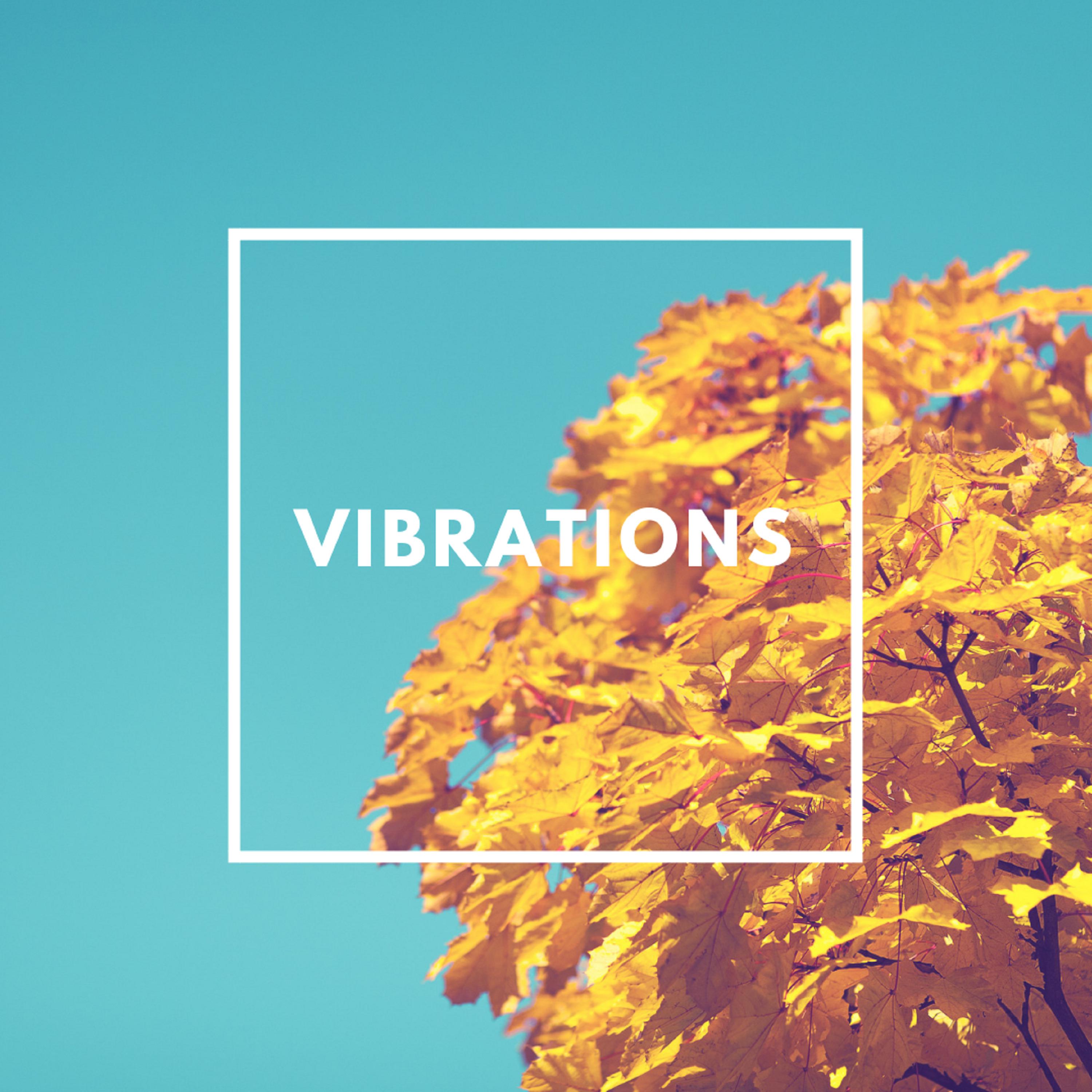 Vibrations