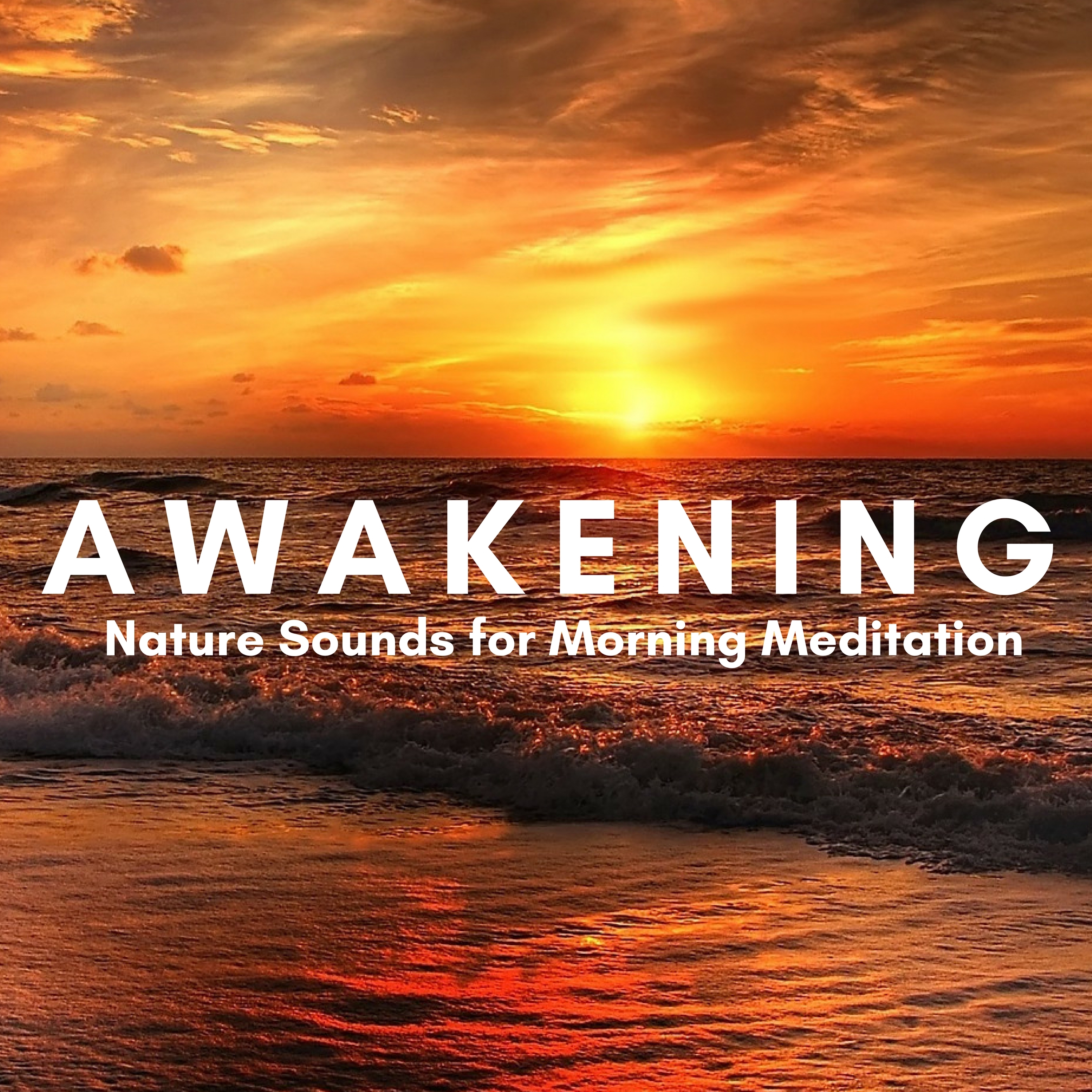 Awakening