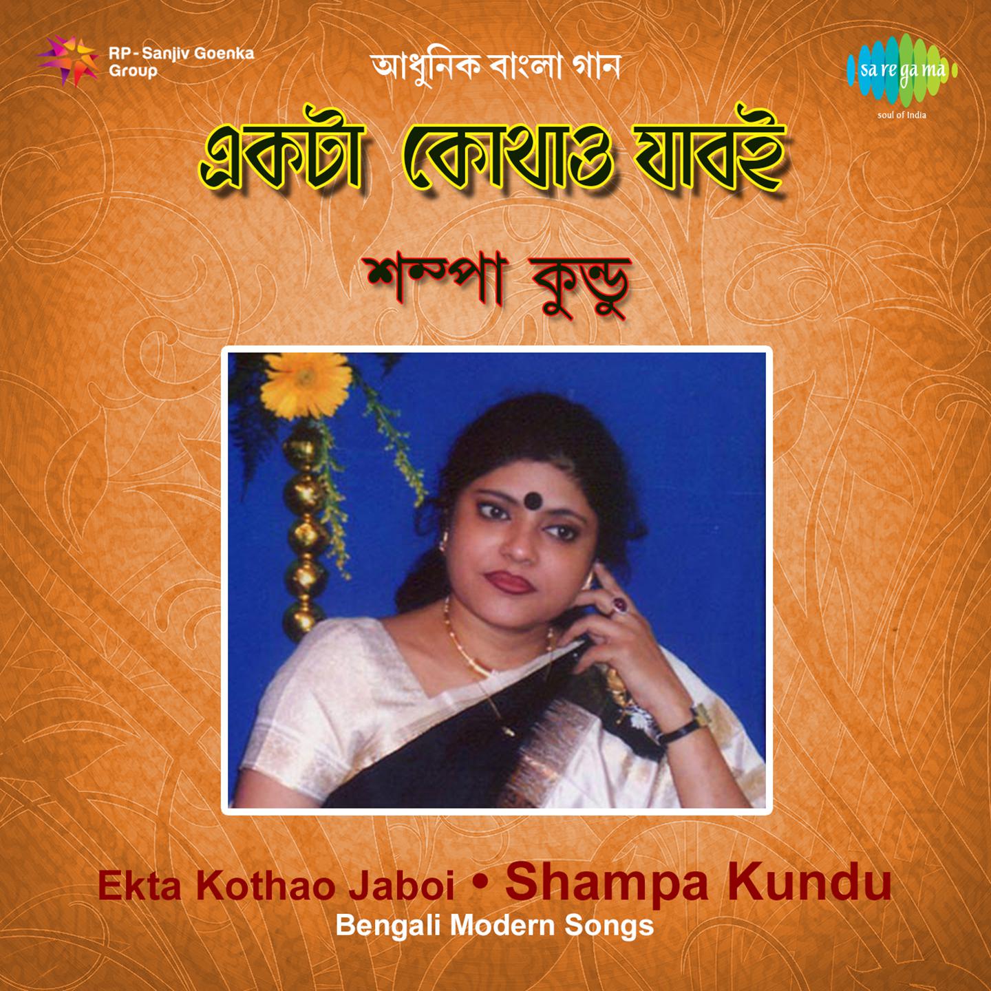 Brishti Namuk Meghla