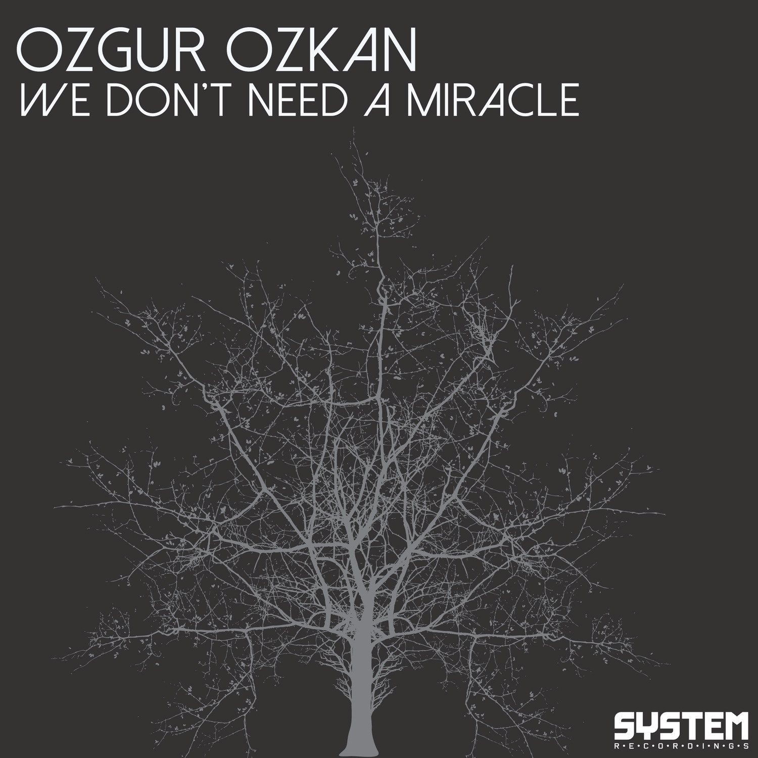 We Don't Need a Miracle