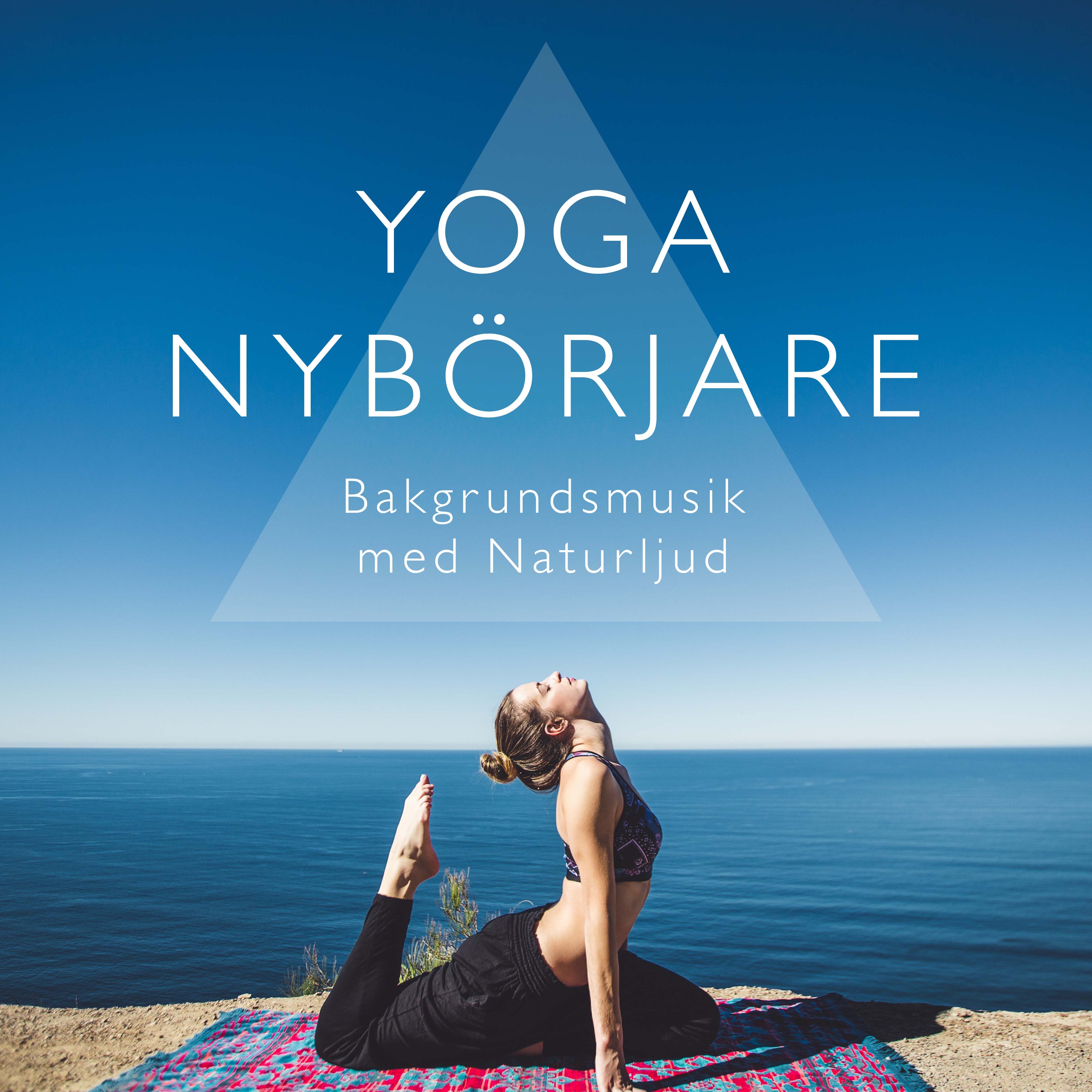 Yoga Nyb rjare: Bakgrundsmusik med Naturljud