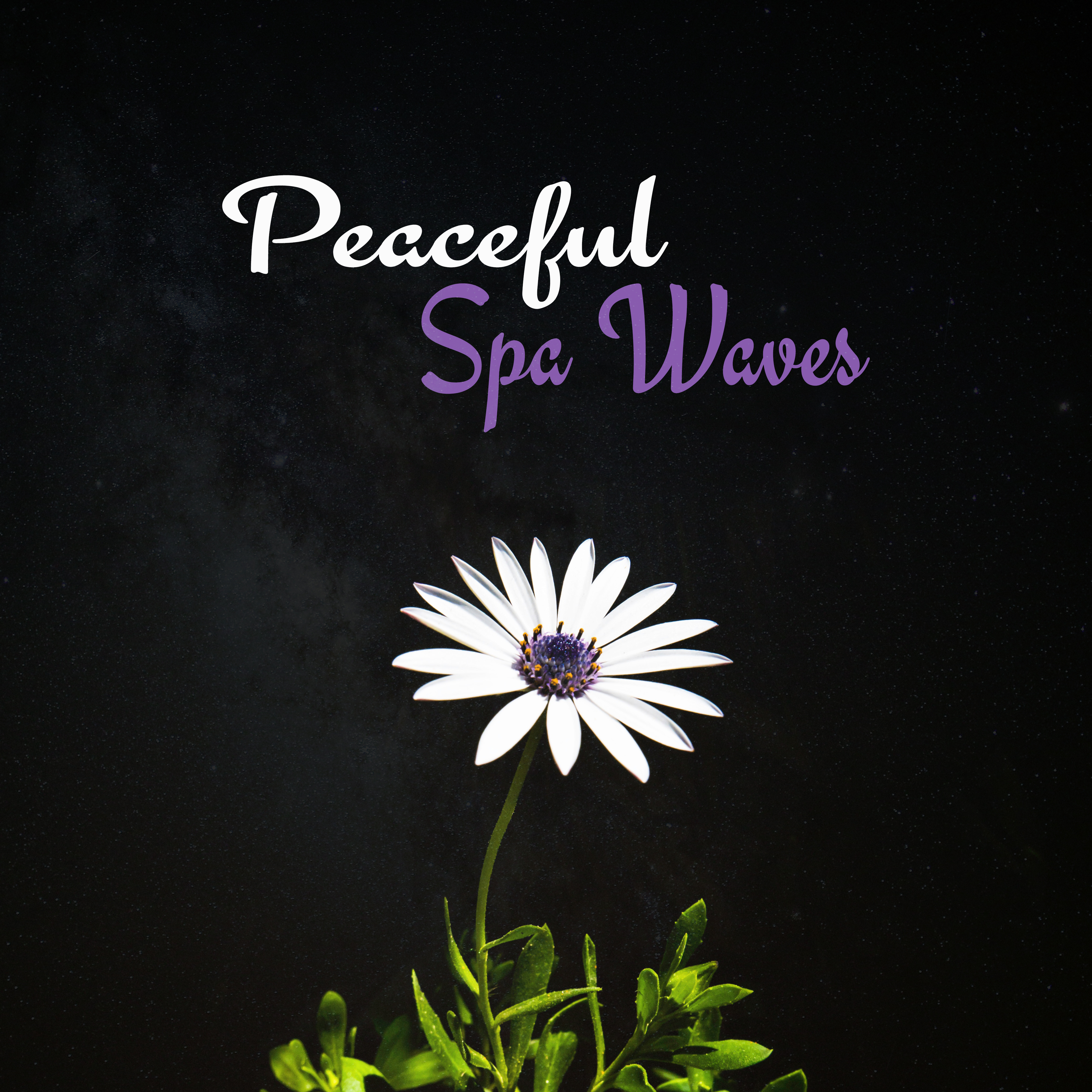 Peaceful Spa Waves  Soft Sounds to Relax, Chilled Songs, Music to Rest, Stress Relief, Spa Massage