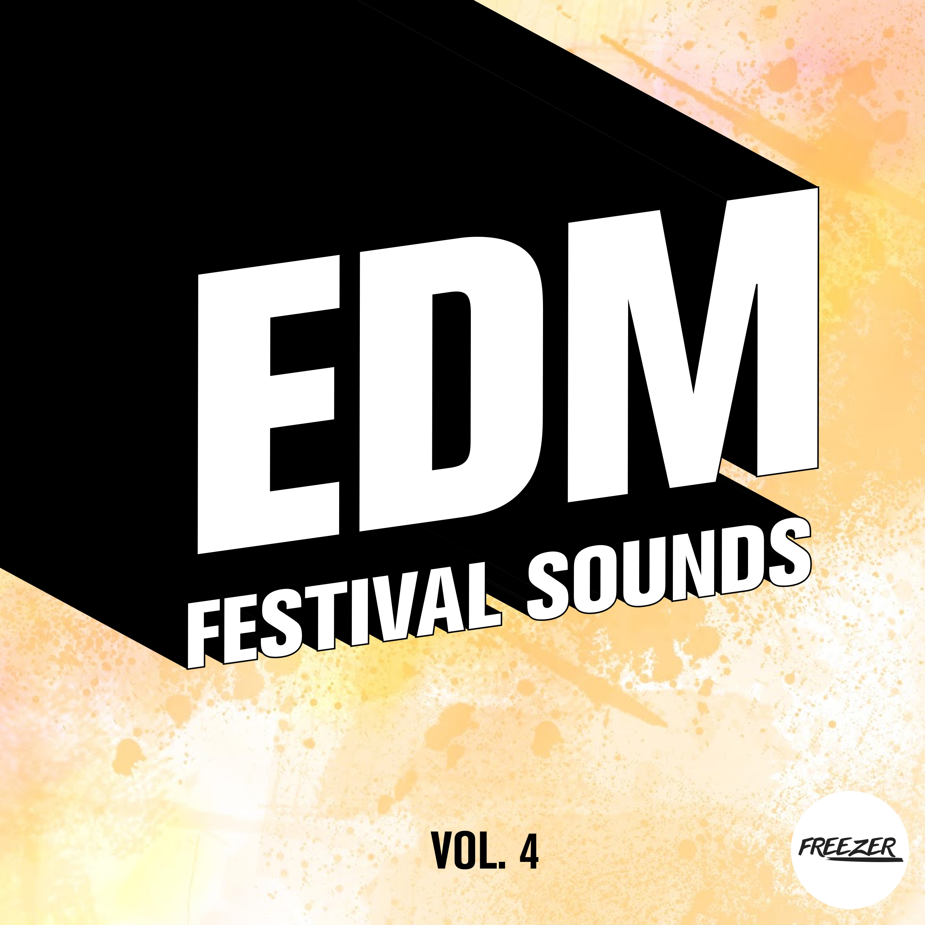 EDM Festival Sounds, Vol. 4
