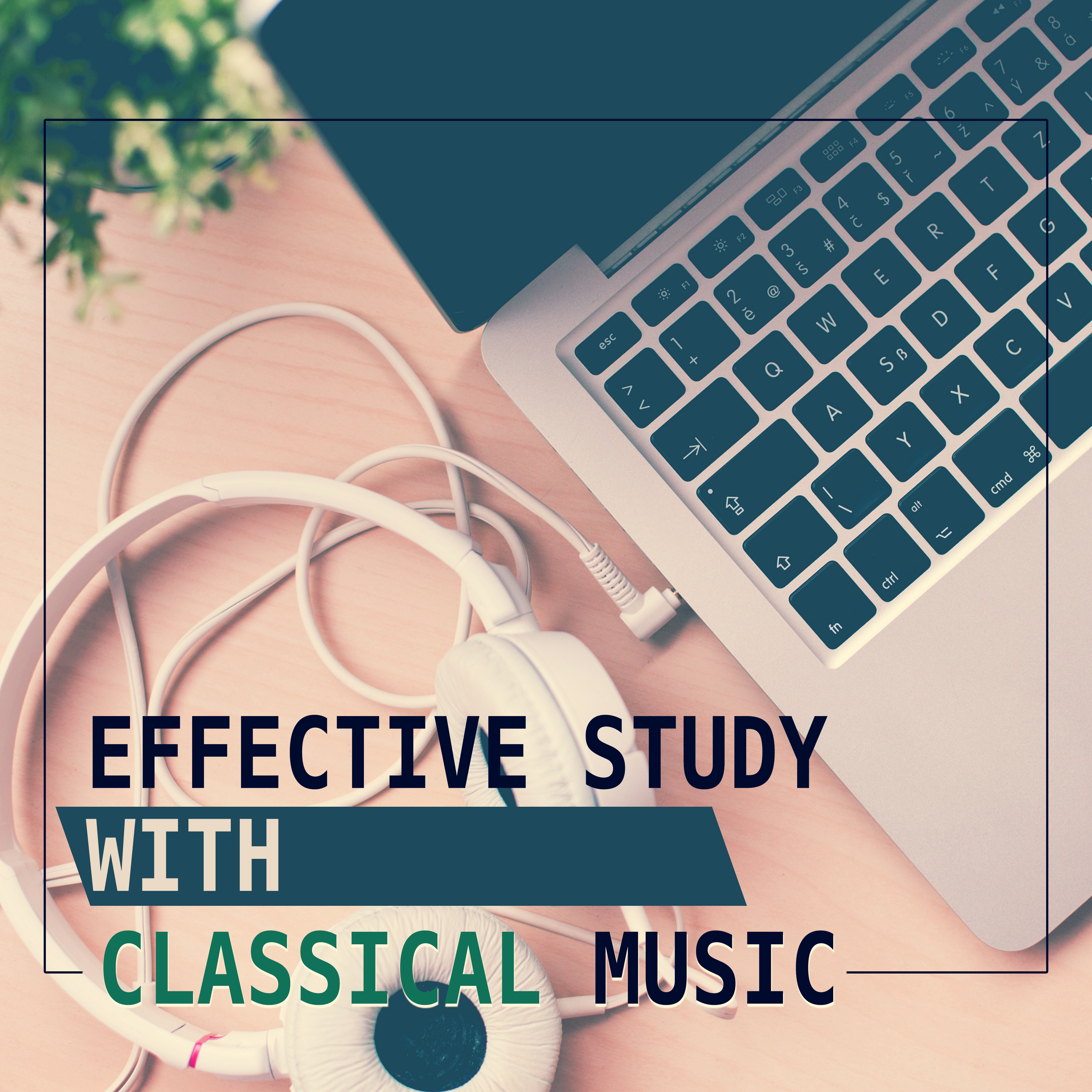 Effective Study with Classical Music  Music to Study, Easy Learning, Creative Mind, Bach to Work