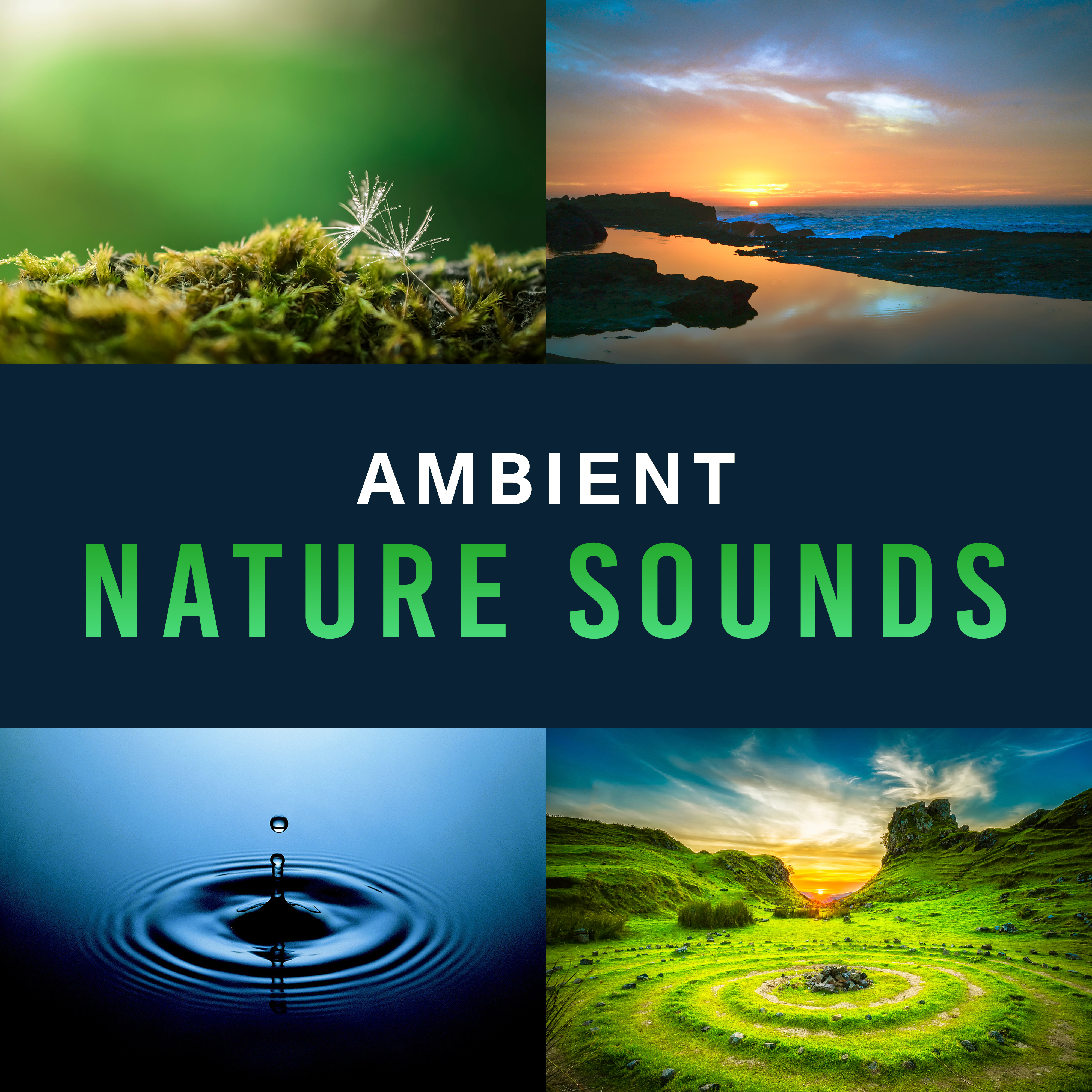 Ambient Nature Sounds  Calm New Age Melodies, Sounds to Rest, Music for Healing Therapy