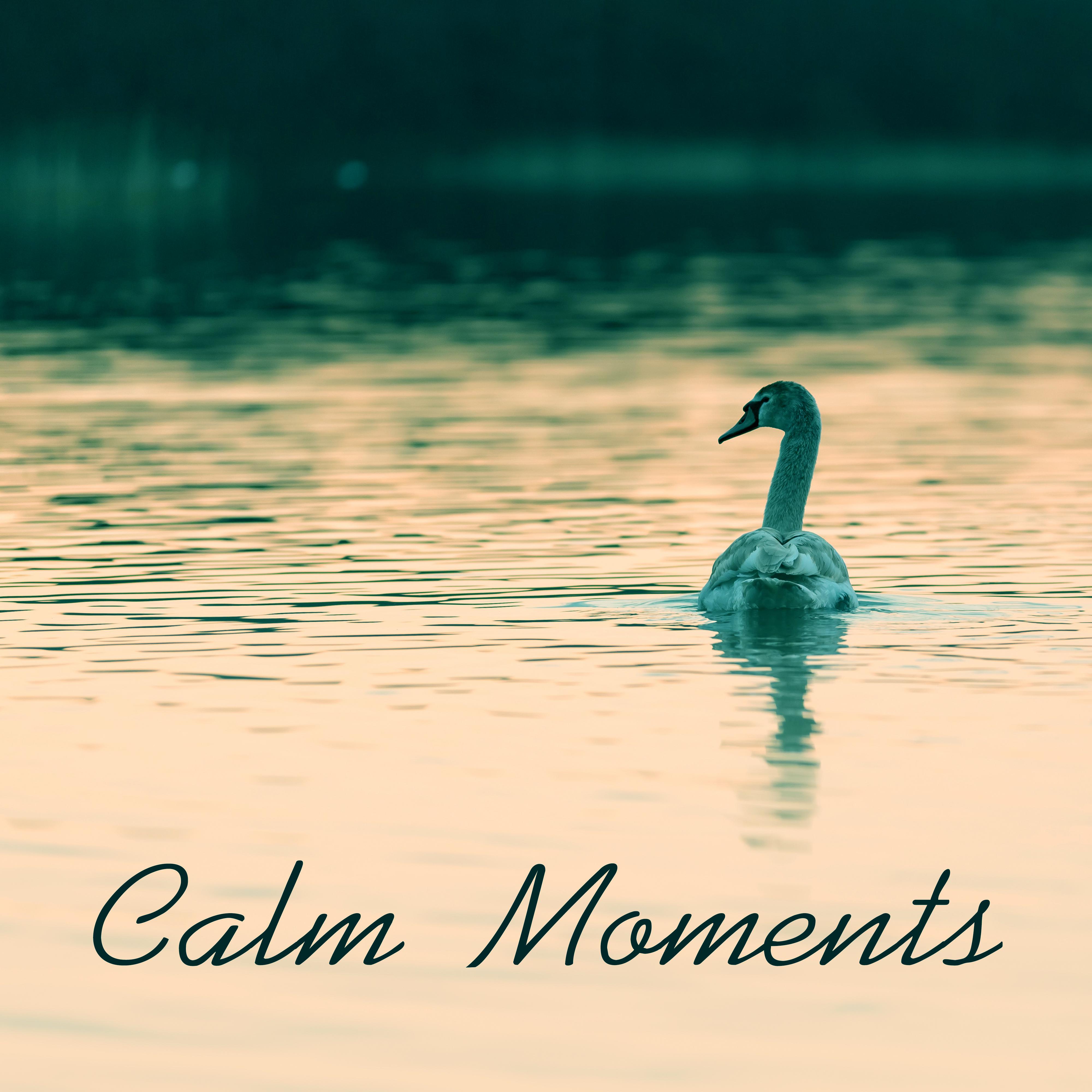 Calm Moments  Relaxing Music Therapy, Anti  Stress, Rest, Healing Sounds of Nature, Rest