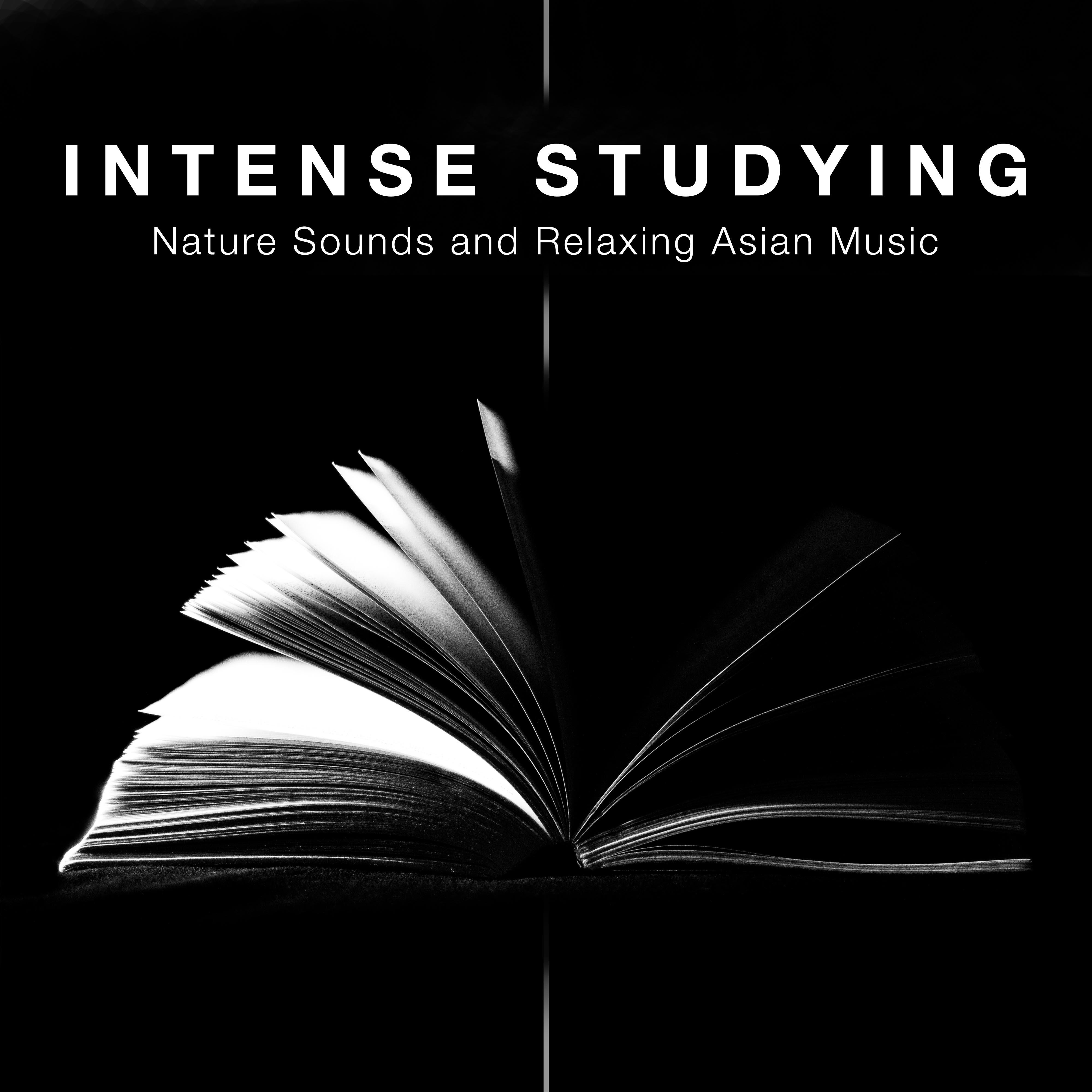Intense Studying - Nature Sounds and Relaxing Asian Music