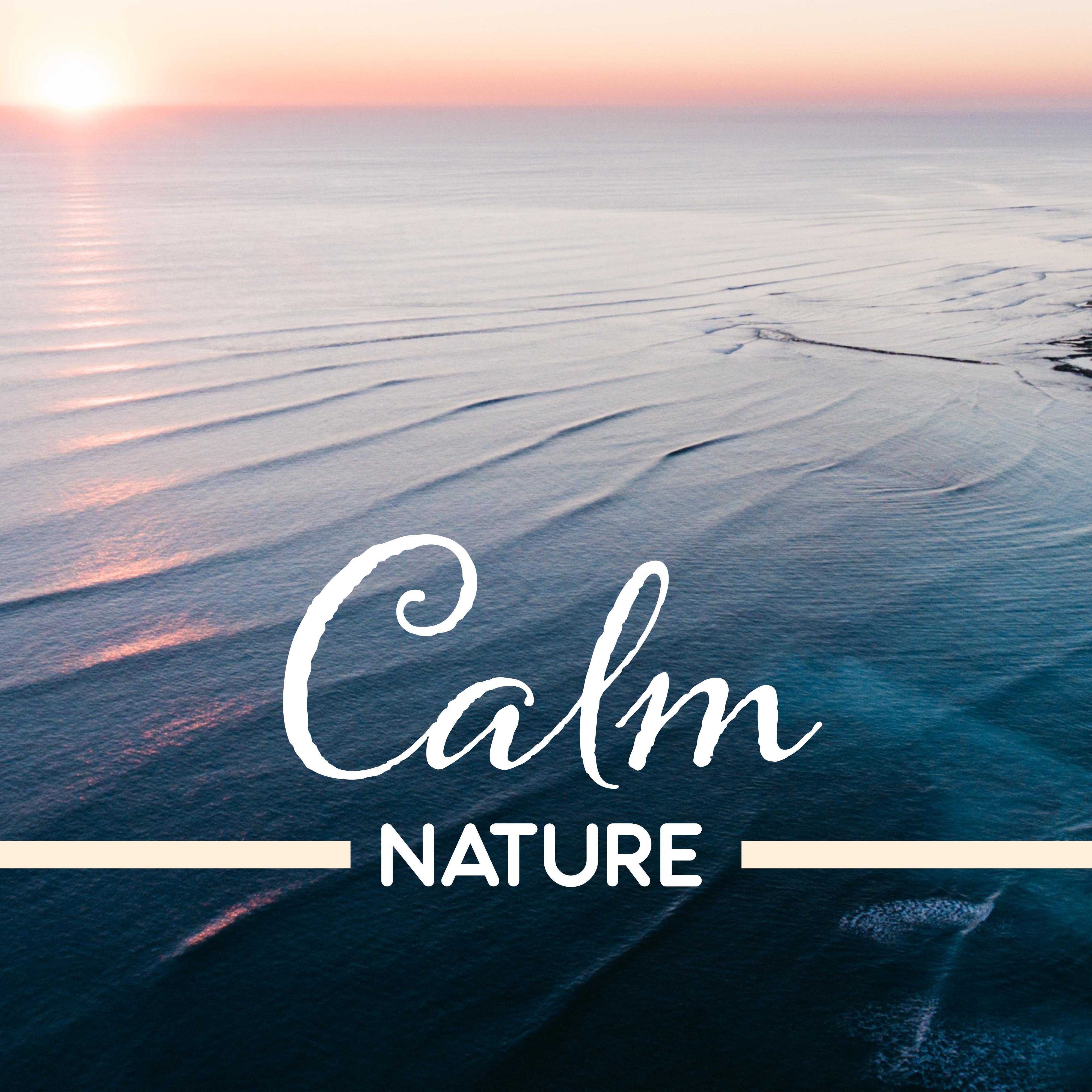 Calm Nature  Healing Music, Deep Sleep, Rest, Peaceful Melodies, Stress Relief, Zen