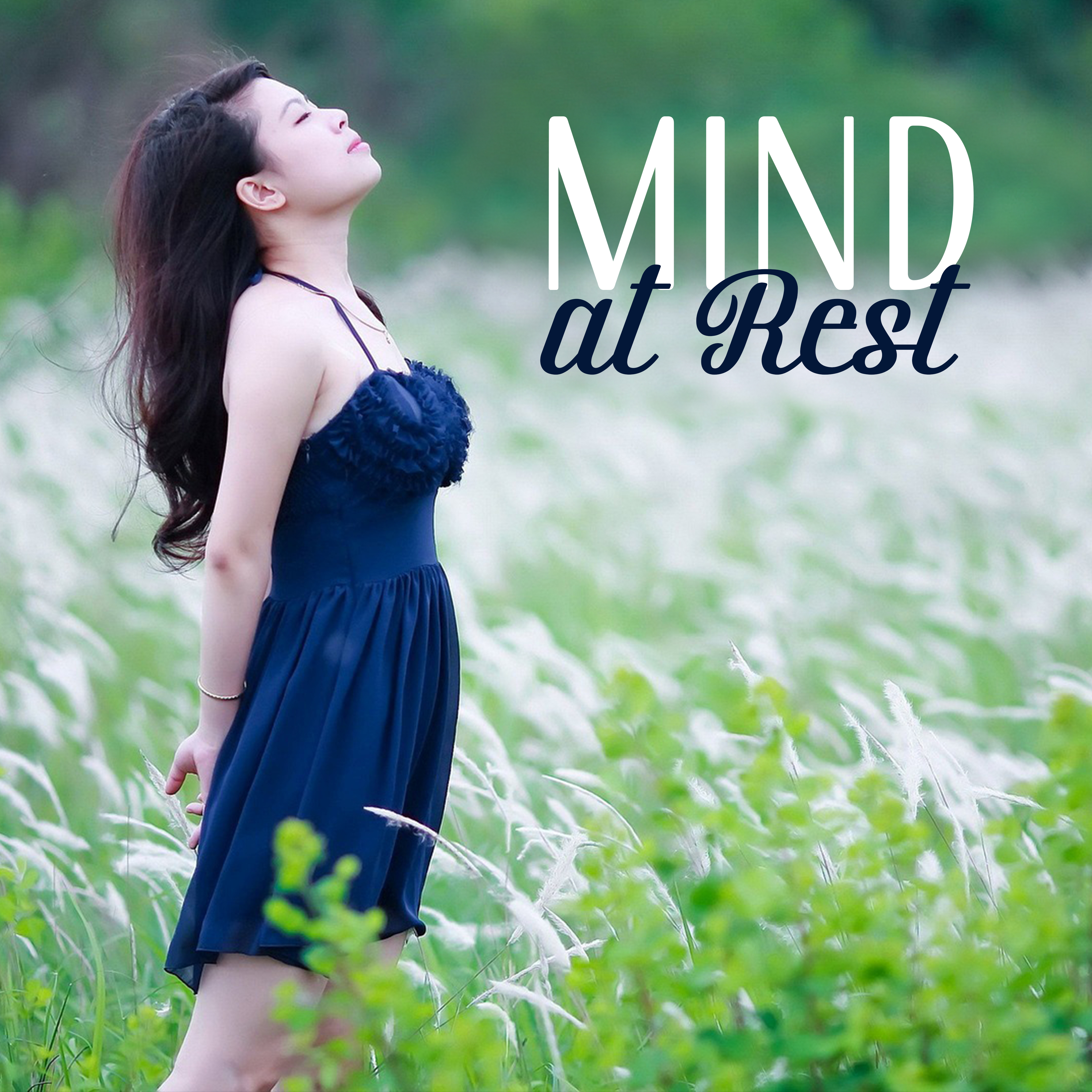 Mind at Rest  Relaxing Music Therapy, Nature Sounds, New Age for Relax, Bliss, Feel Zen Sensations