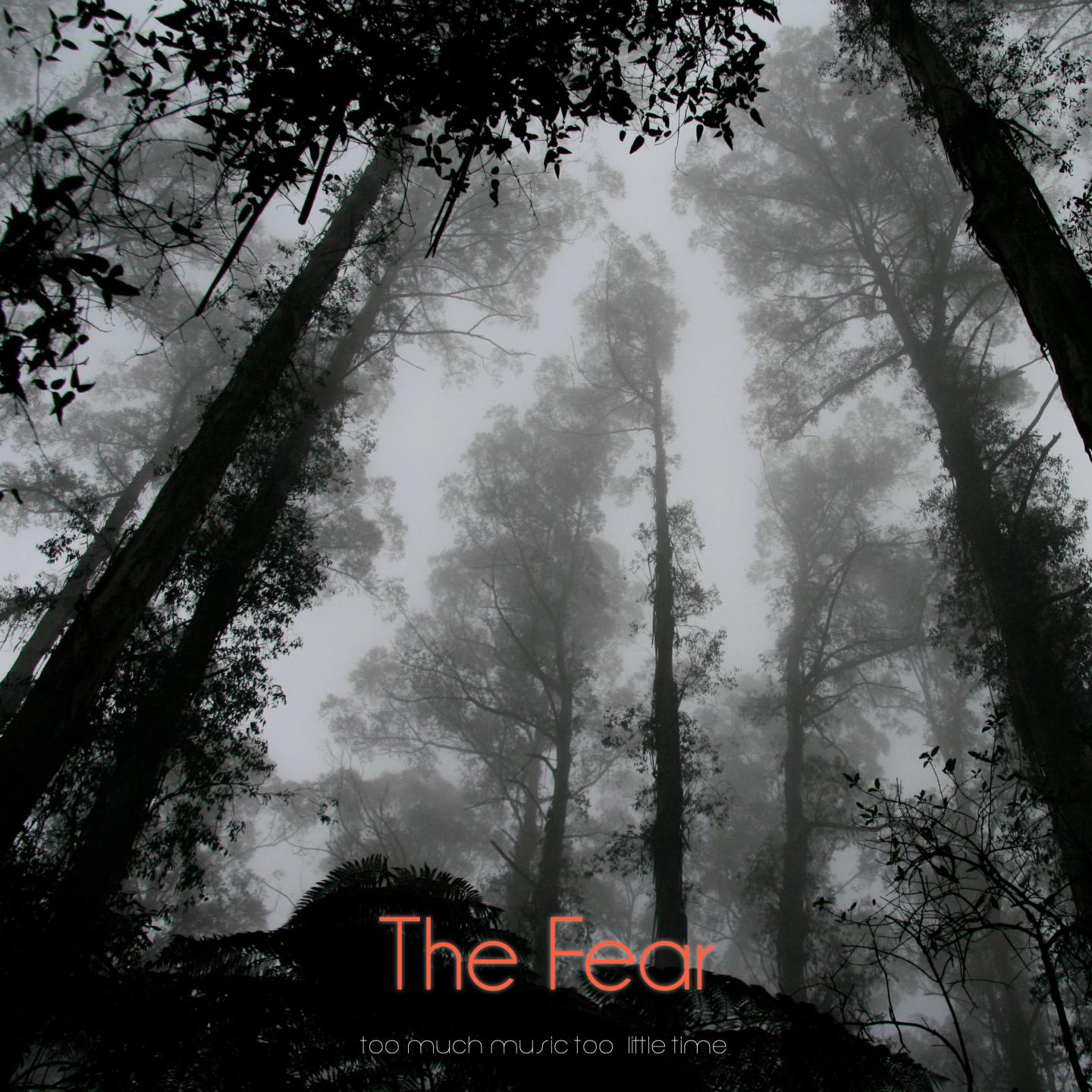 The Fear (So Much Music Too Little Time)