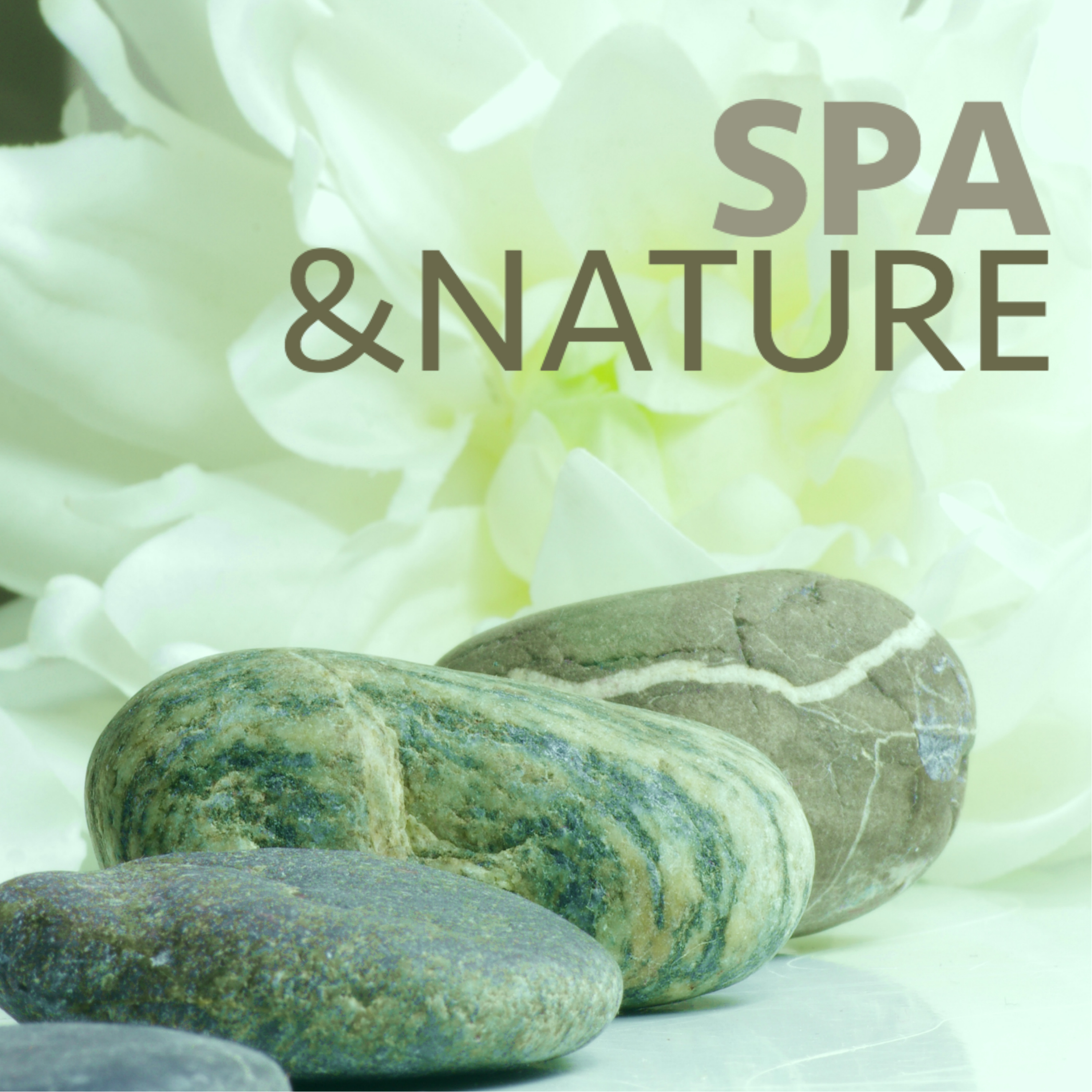 Spa & Nature - Relaxing Spa Background Music with Natural Sounds for Massage
